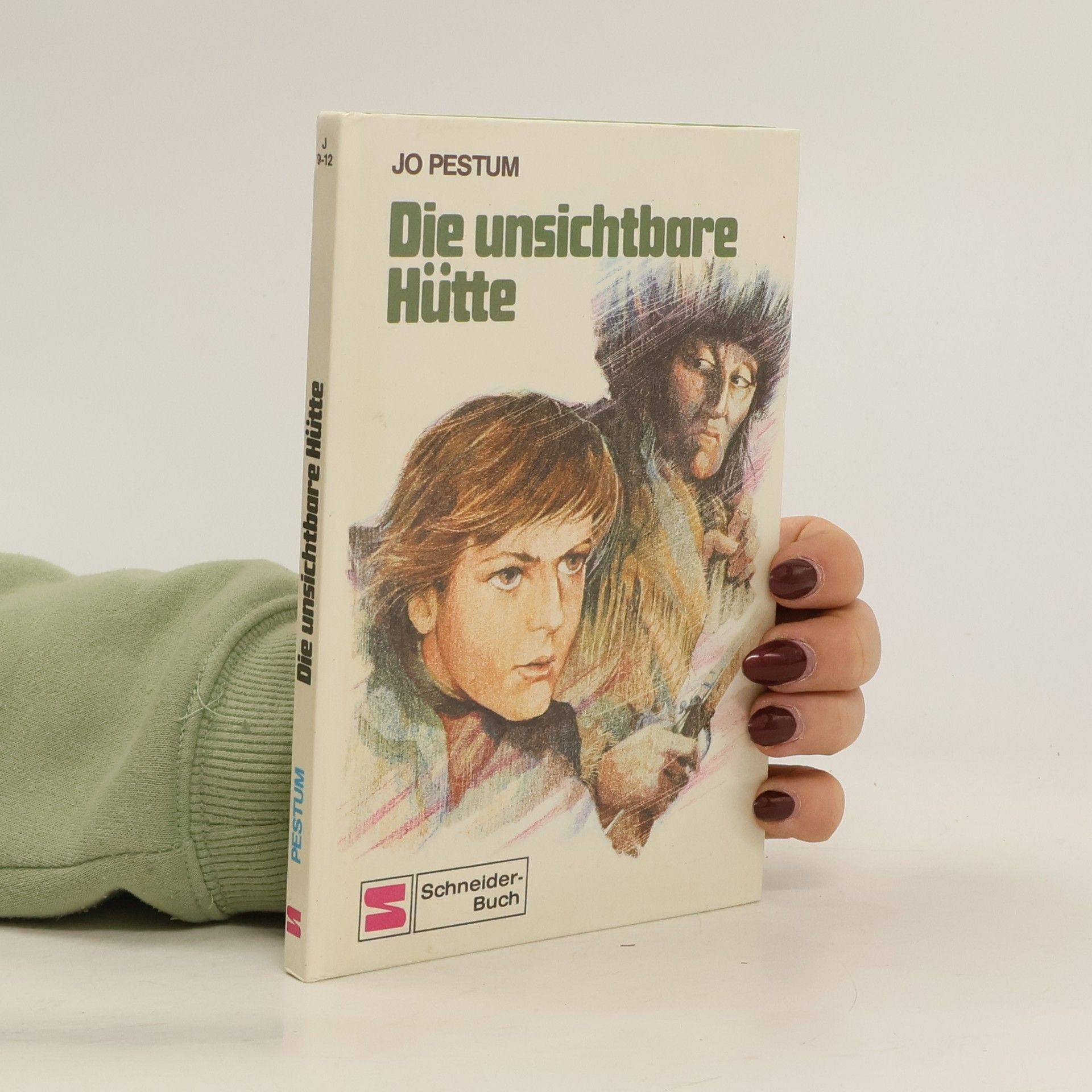 Jo Pestum Die unsichtbare Hütte