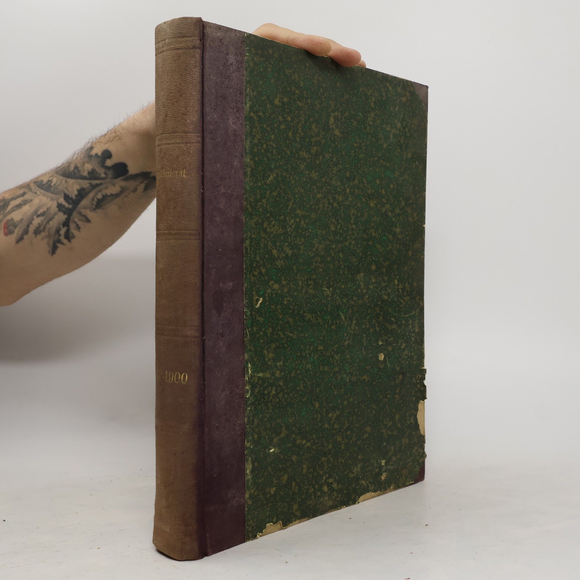 Autorenkollektiv Gesundheitsrat 1898-1900