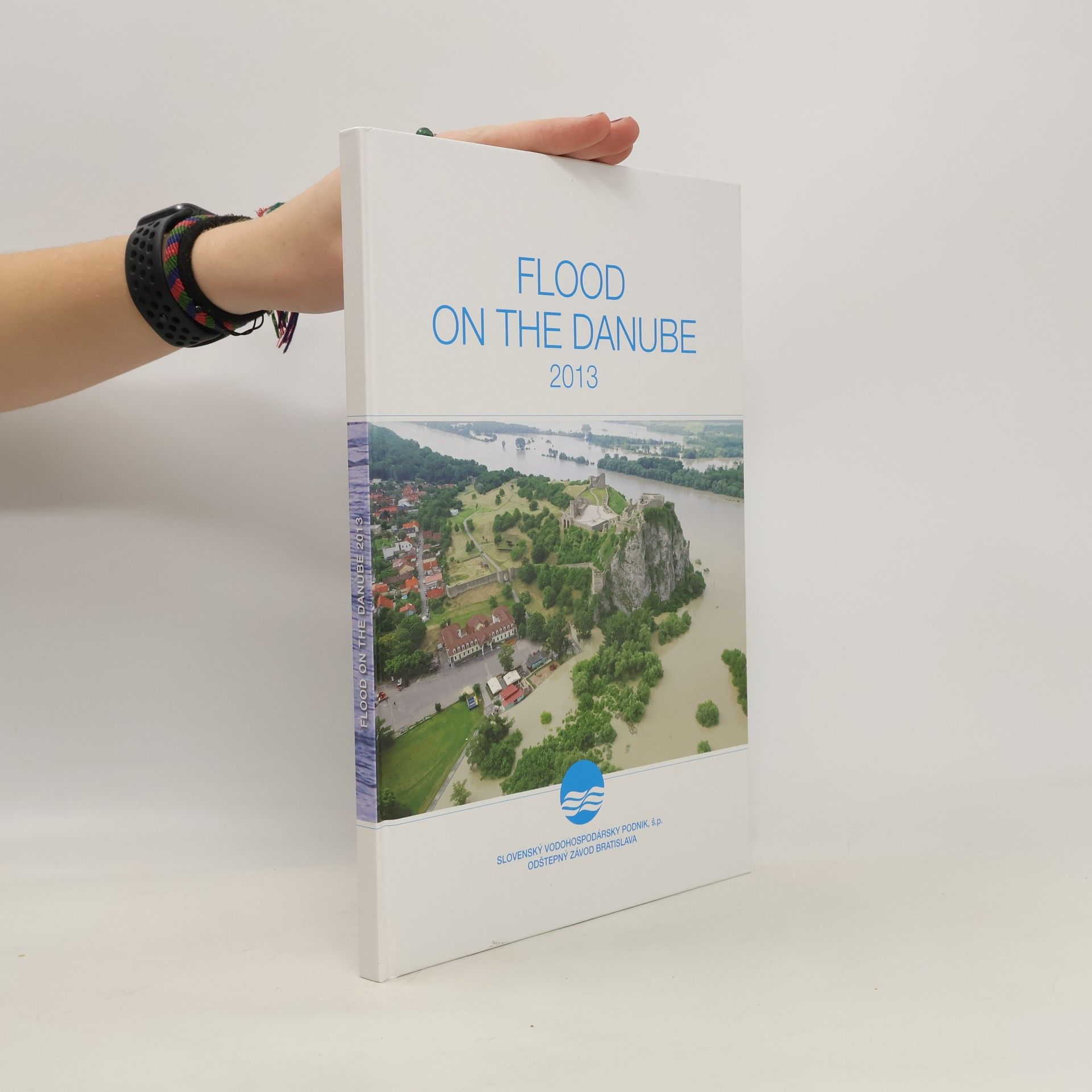 Collectif d'auteurs Flood on the Danube 2013