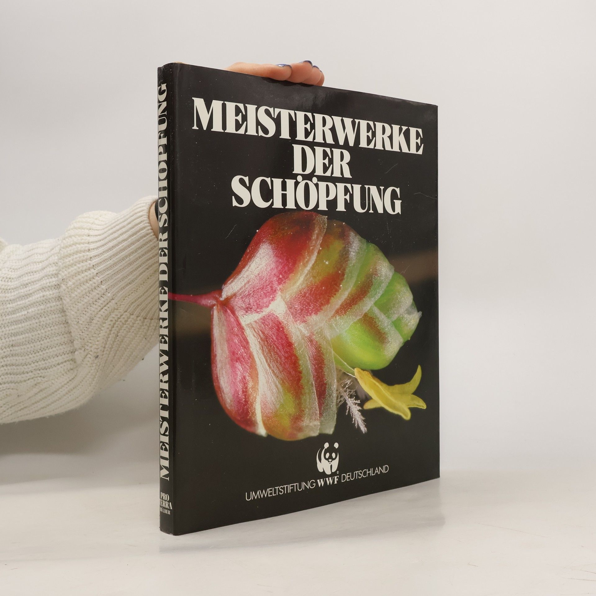 Collective Meisterwerke der Schöpfung