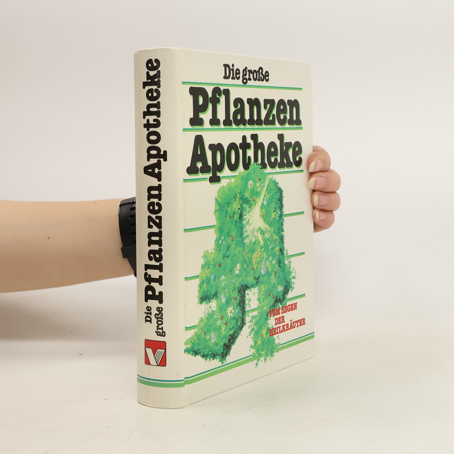 Autorenkollektiv Die große Pflanzen Apotheke
