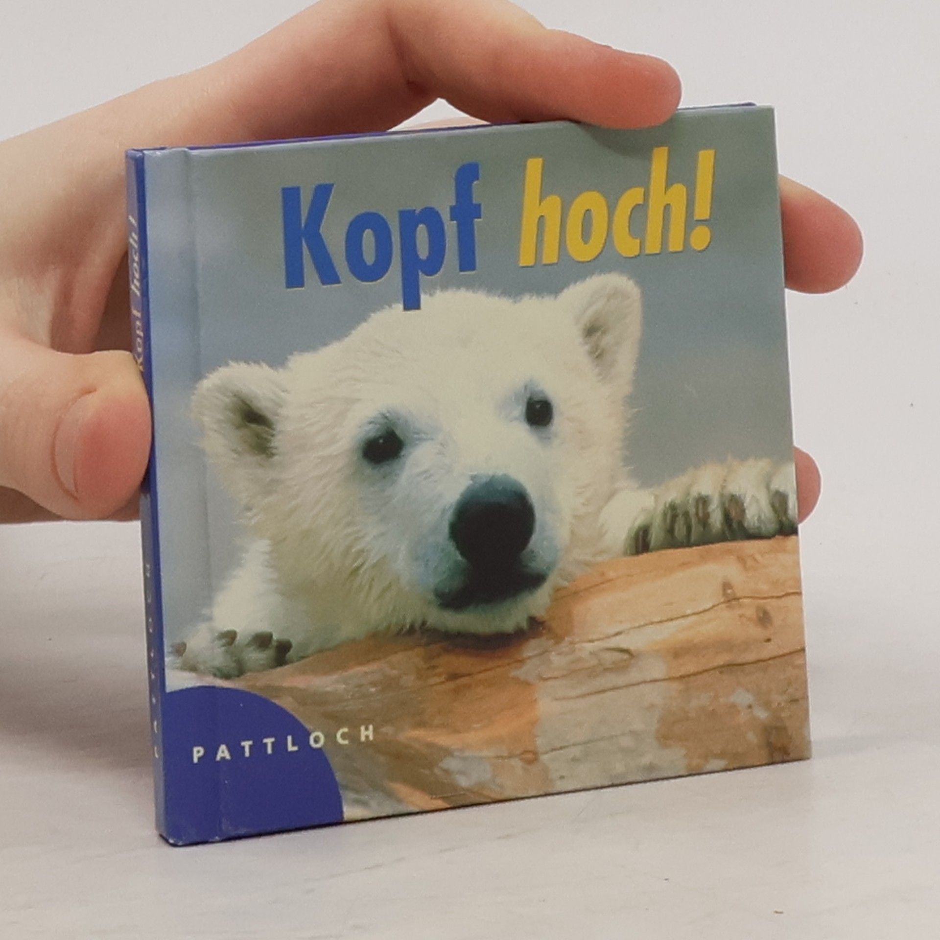 Collective Kopf hoch!