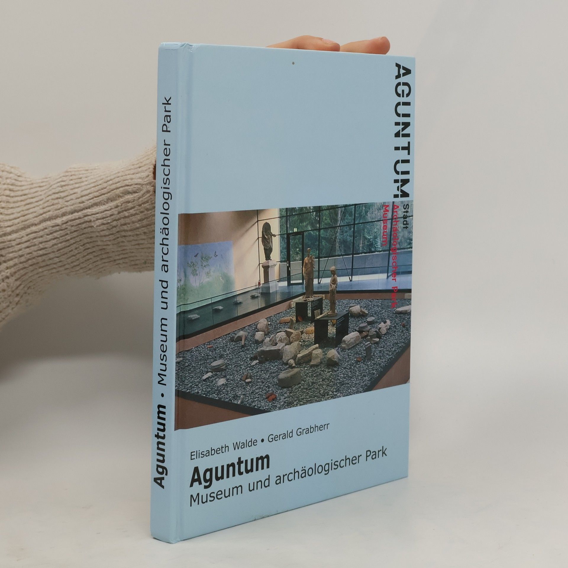 Elisabeth Walde Aguntum. Museum und archäologischer Park