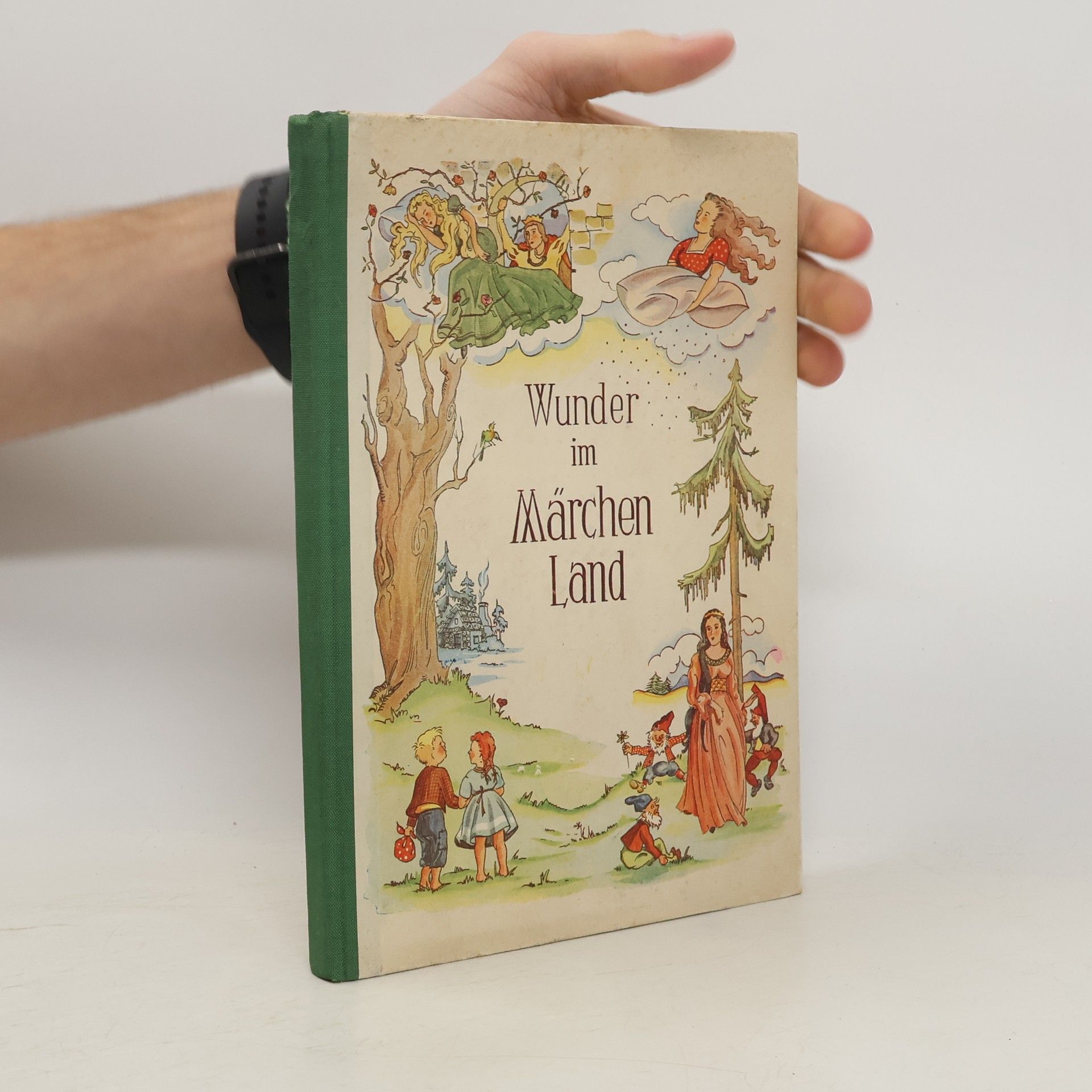 Autorenkollektiv Wunder im Märchen Land