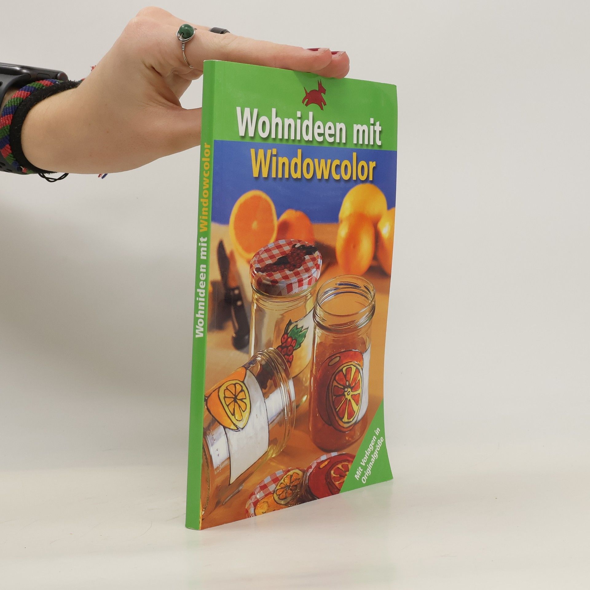 Autorenkollektiv Wohnideen mit Windowcolor