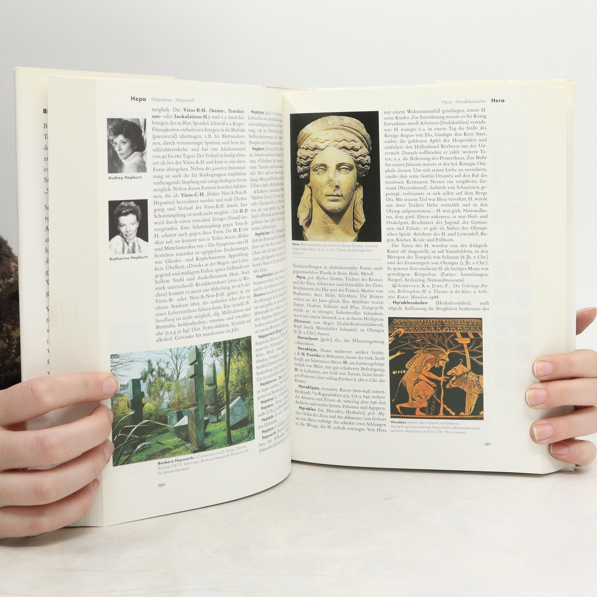 Autorenkollektiv Der Brockhaus in fünfzehn Bänden. Band 6