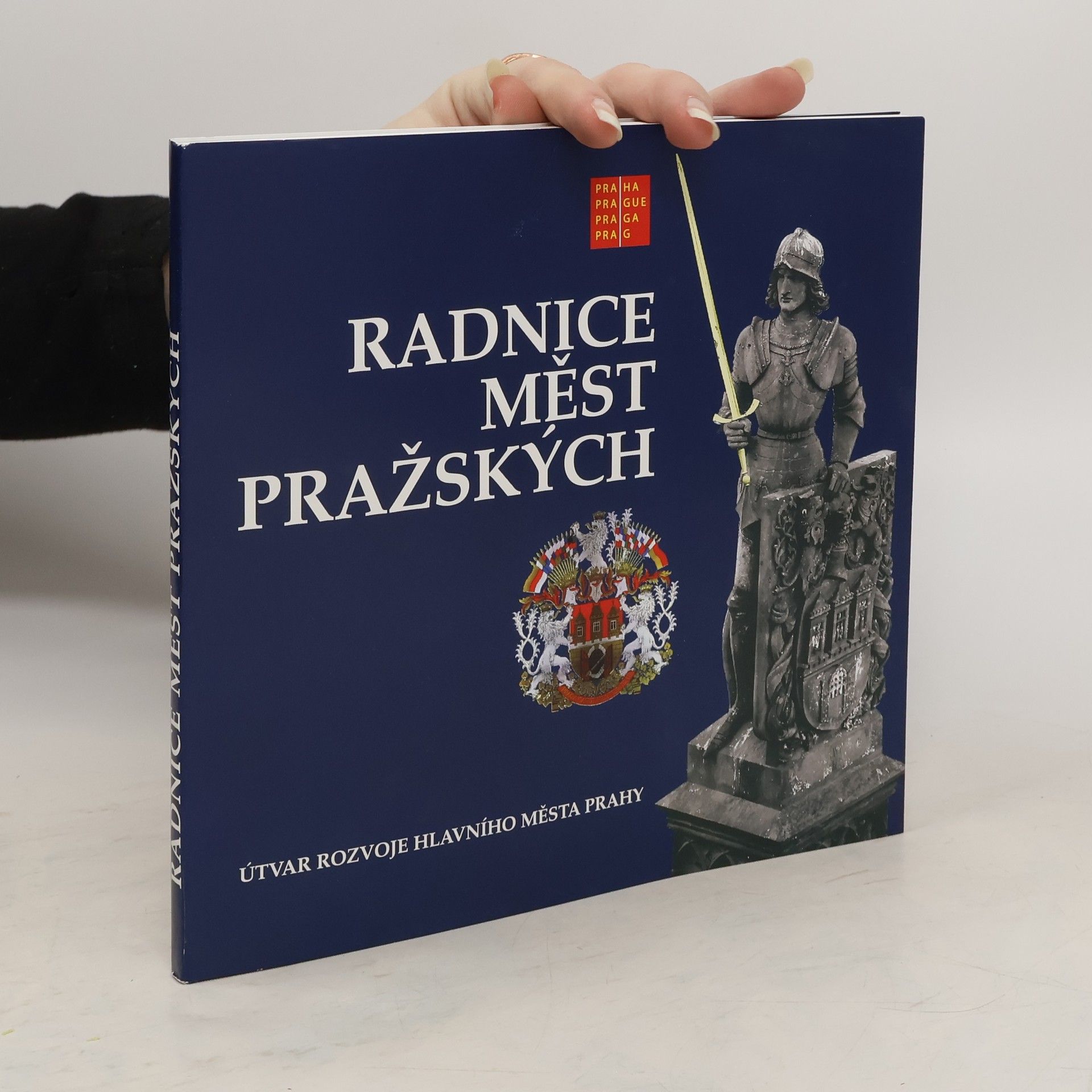 Kolektiv autorů Radnice měst pražských
