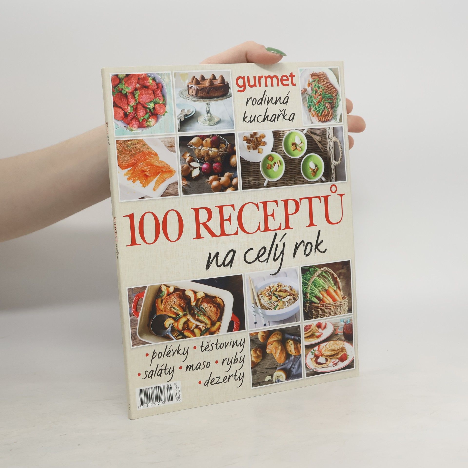Autorenkollektiv 100 receptů na celý rok