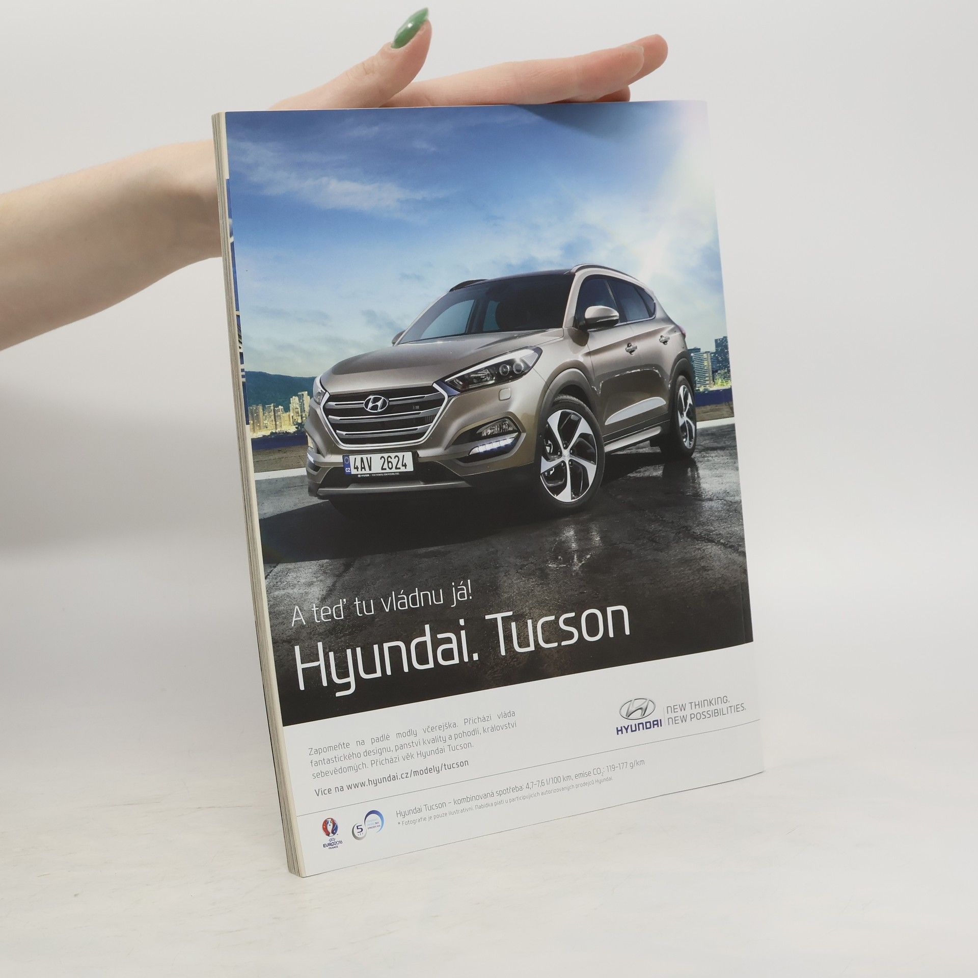 Autorenkollektiv 100 receptů na celý rok