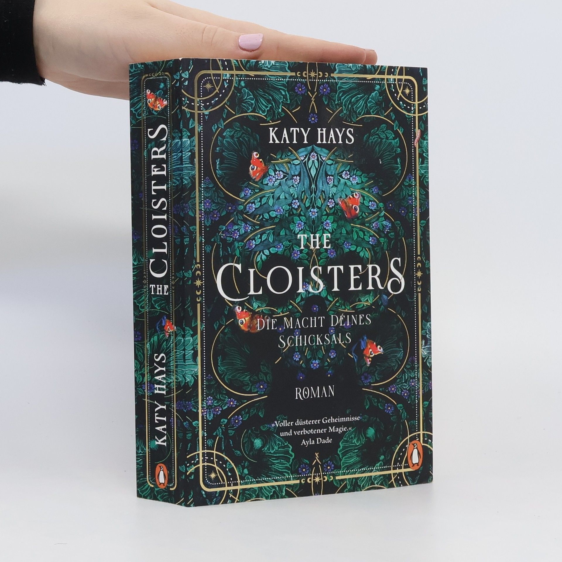 Katy Hays The Cloisters