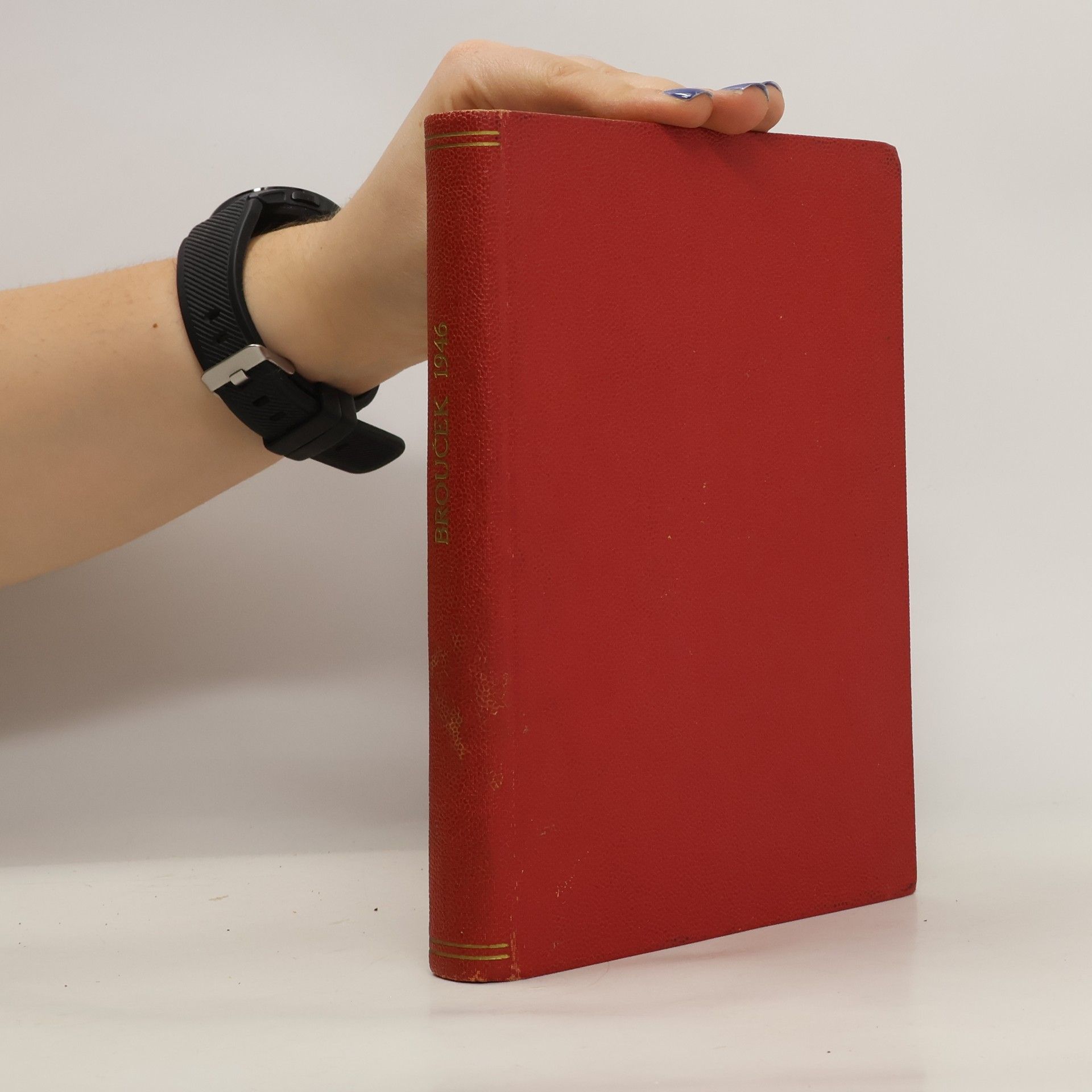 Kolektiv autorů Brouček 1-19/1946