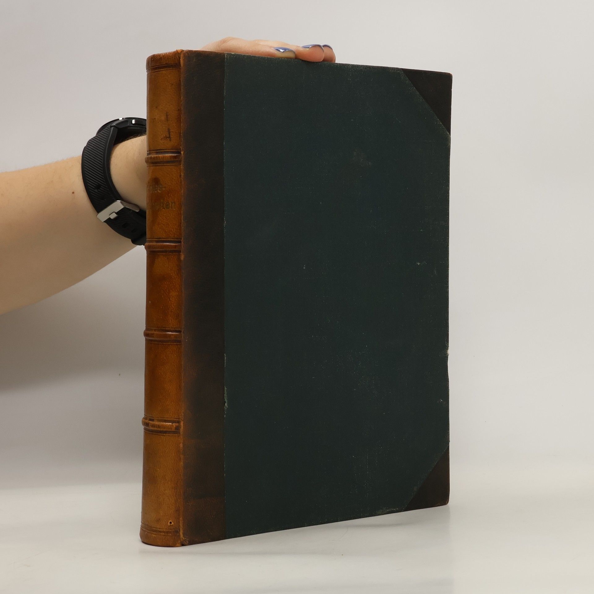 R. Sommer Geisteskrankheiten