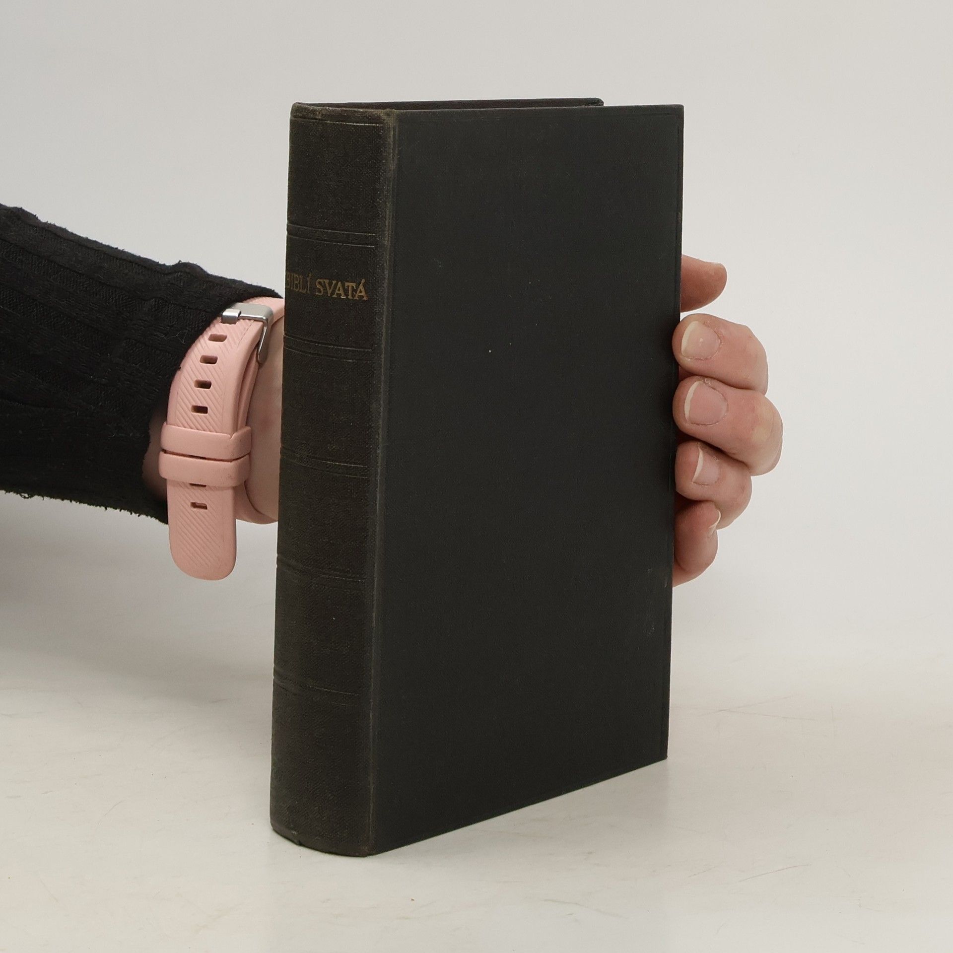Kolektiv autorů Biblí svatá aneb všecka svatá písma Starého i Nového zákona