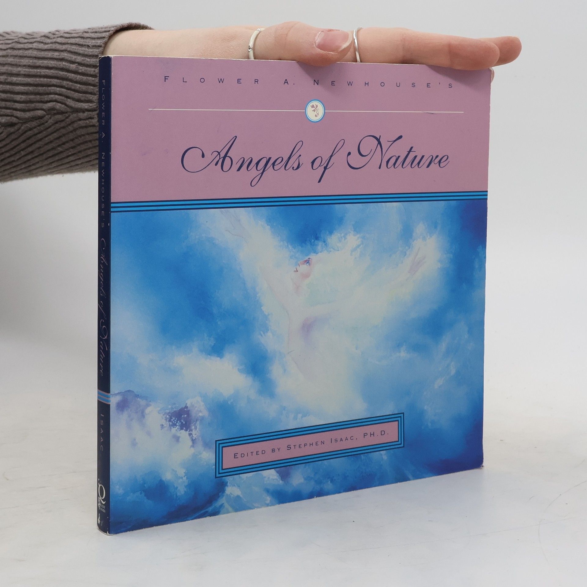 Stephen Isaac Angels of Nature