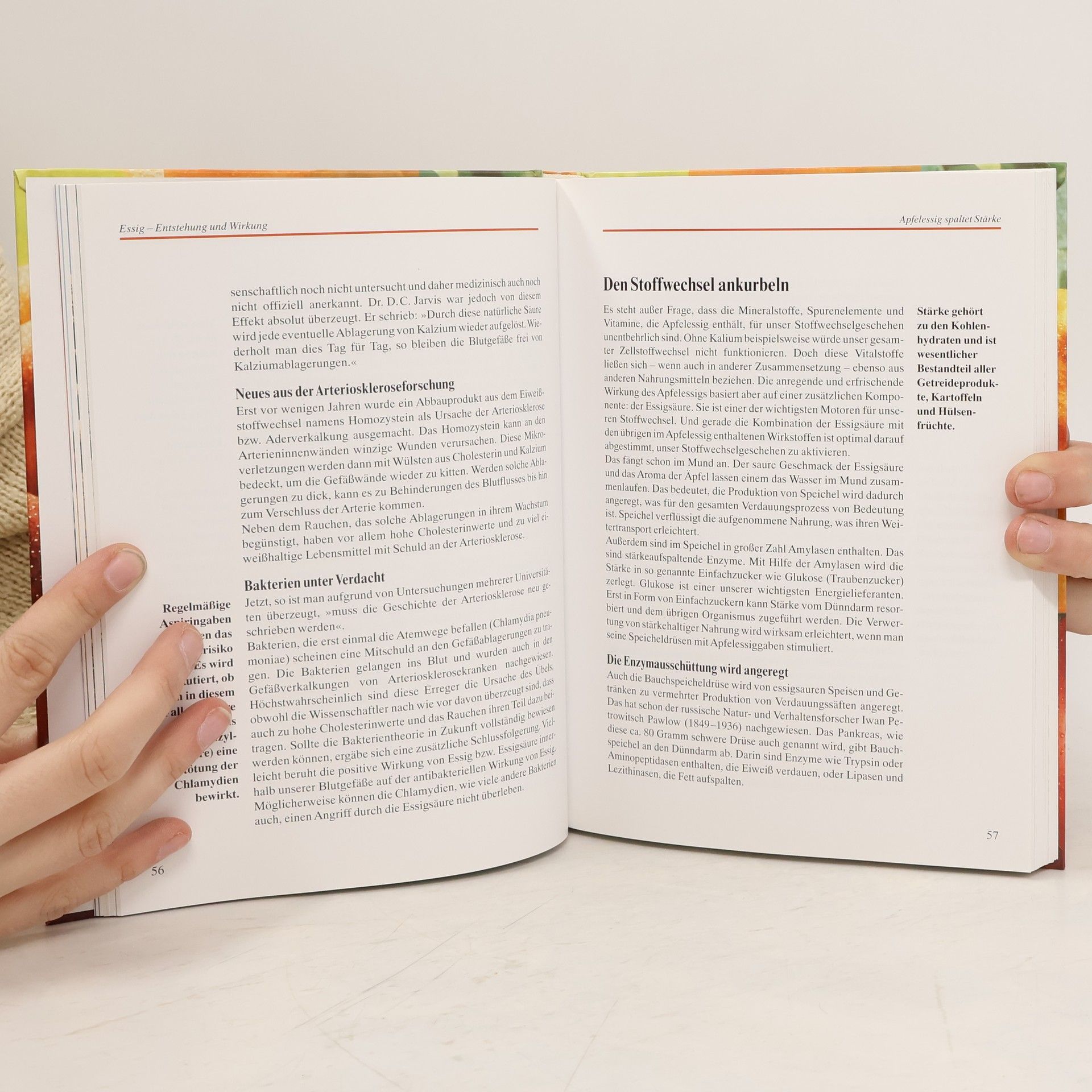 Margot Hellmiß Das grosse Praxisbuch Apfelessig