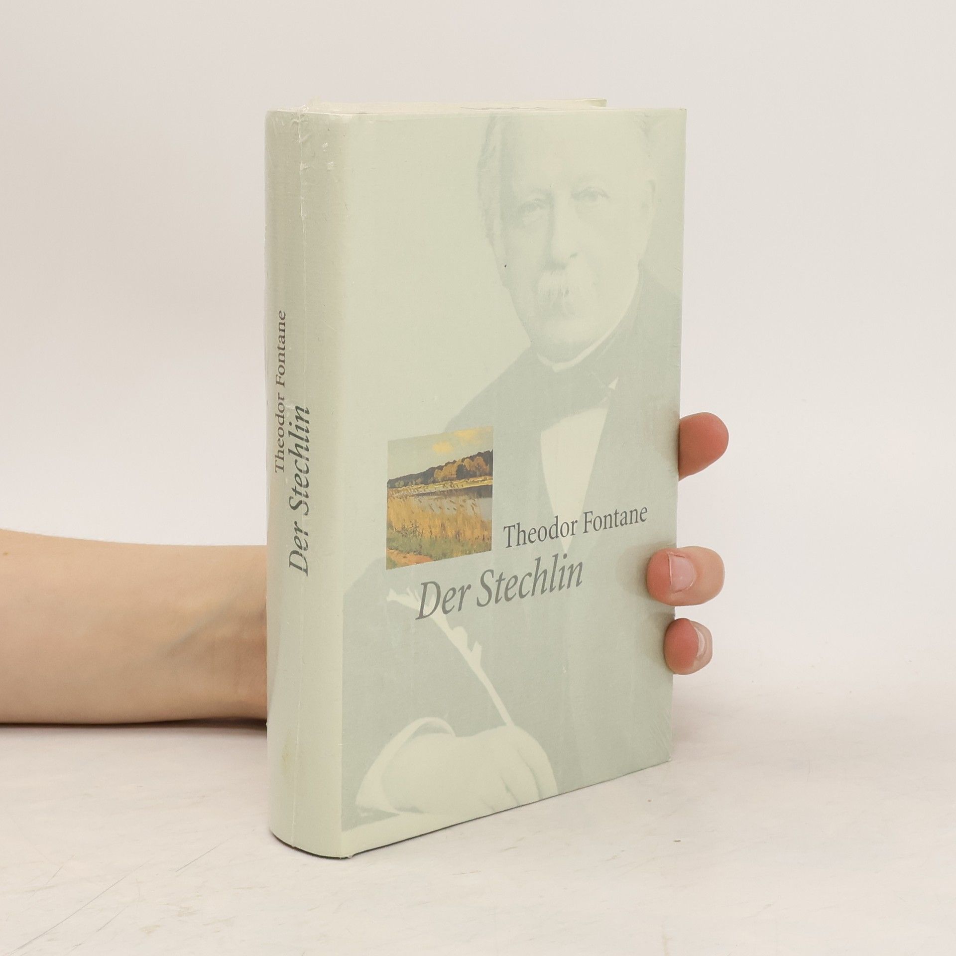 Theodor Fontane Der Stechlin
