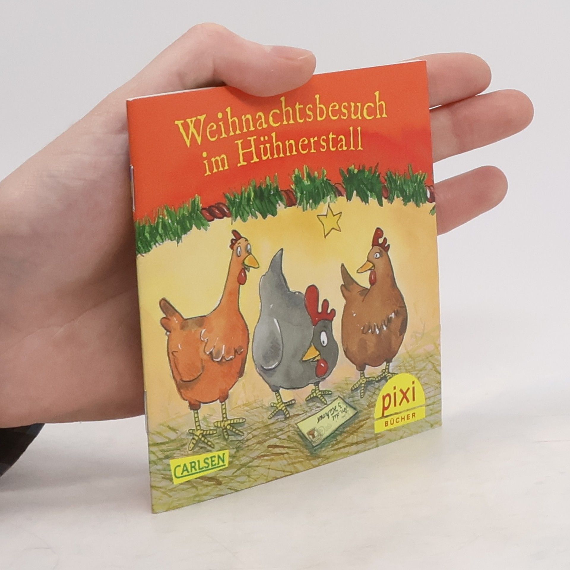 Autorenkollektiv Weihnachtsbuch im Hühnerstall