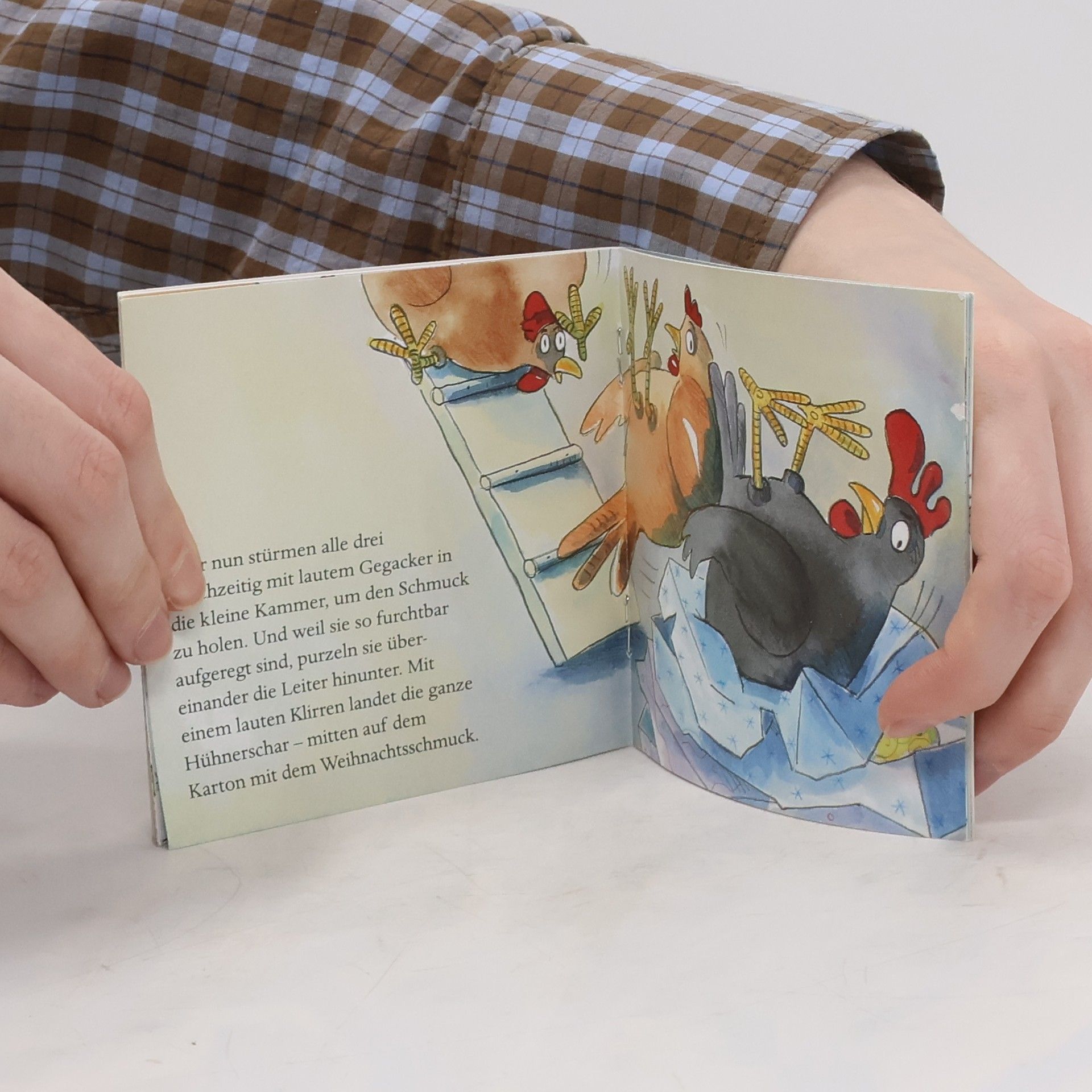 Autorenkollektiv Weihnachtsbuch im Hühnerstall