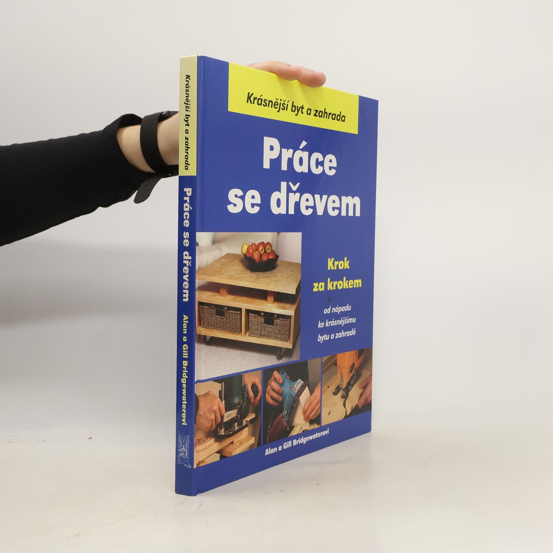 Alan Bridgewater Práce se dřevem krok za krokem