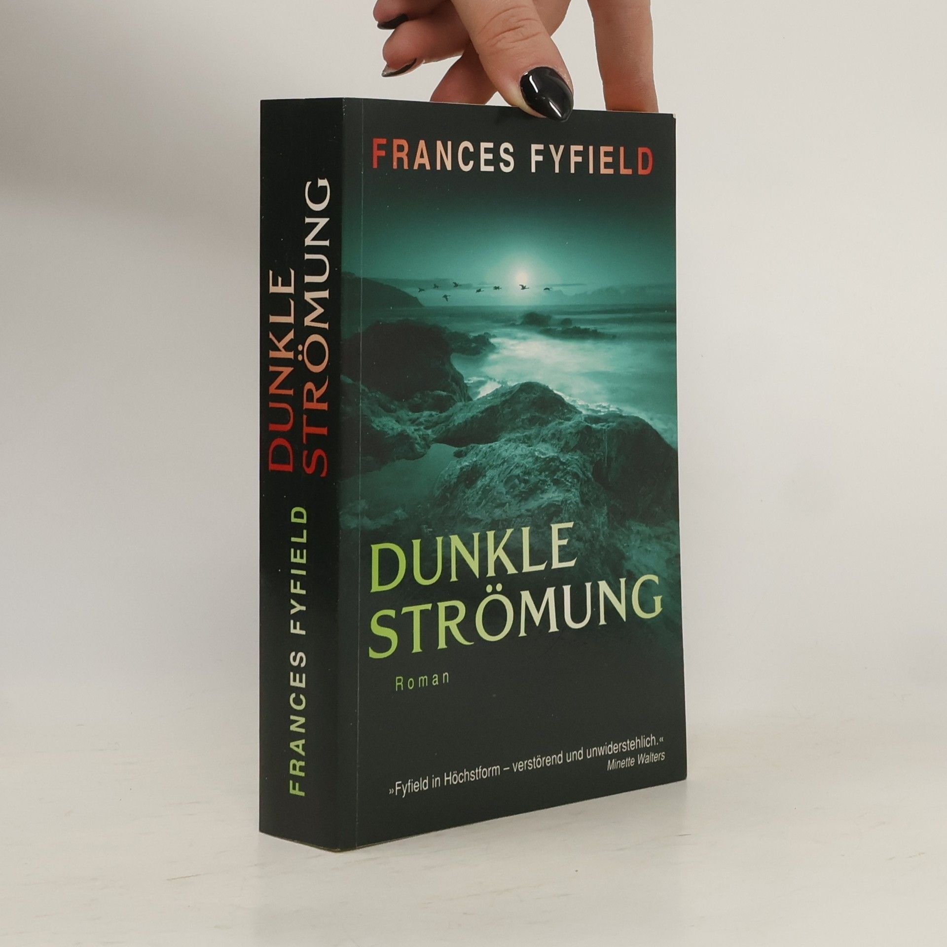 Frances Fyfield Dunkle Strömung