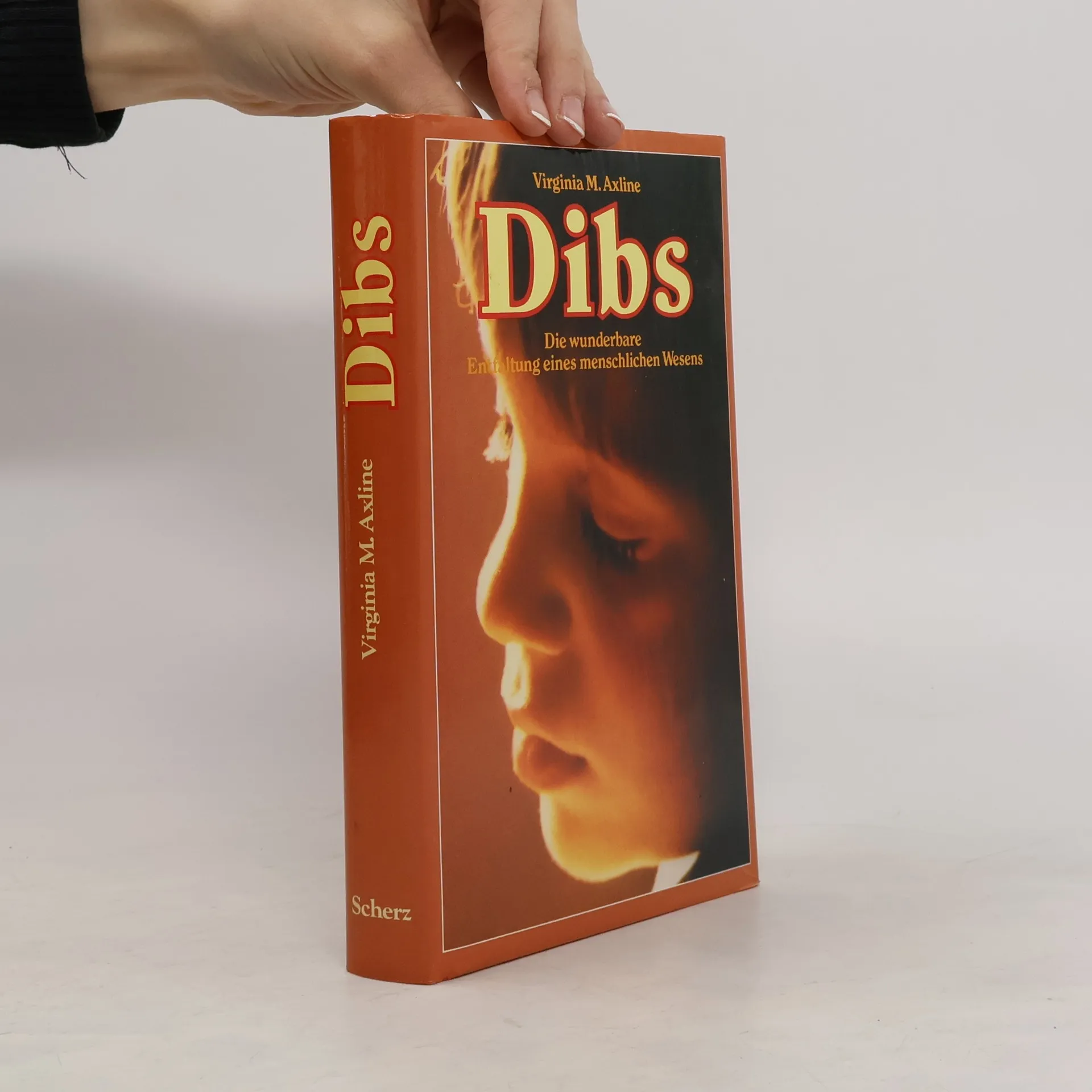 Dibs | Book | Hardcover | Virginia Mae Axline | DE
