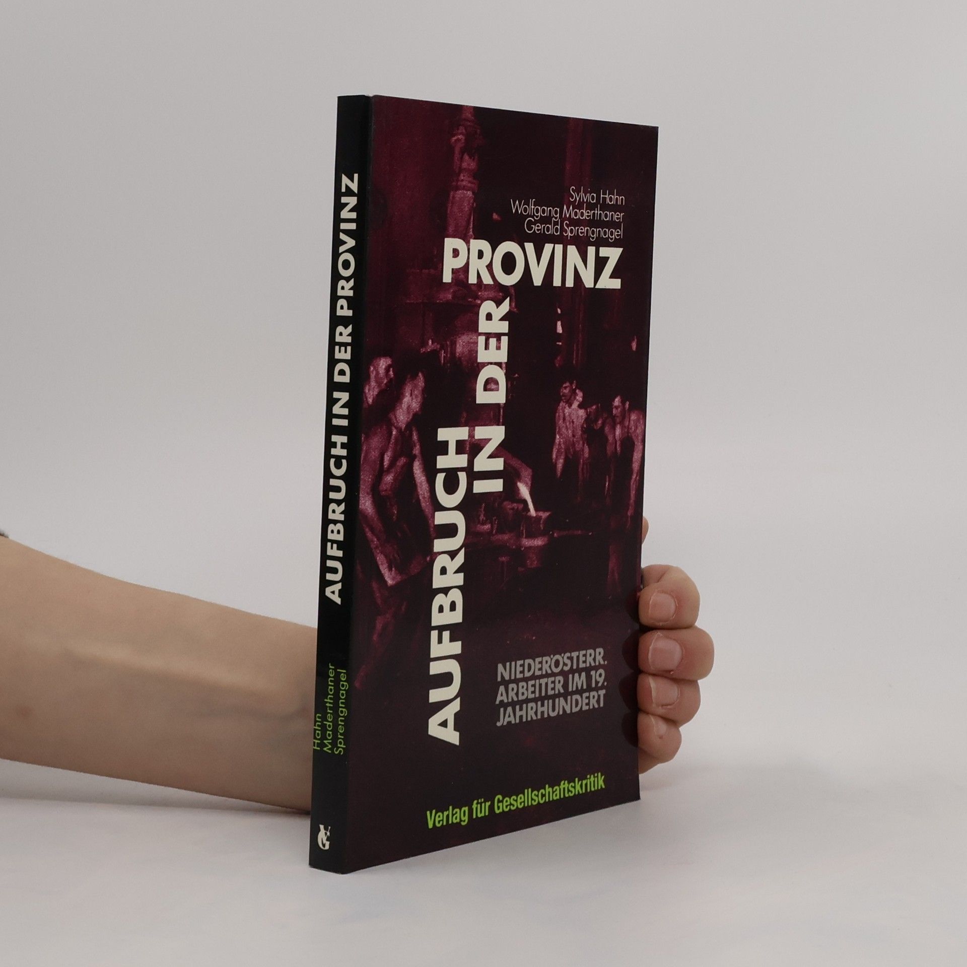 Sylvia Hahn Aufbruch in der Provinz
