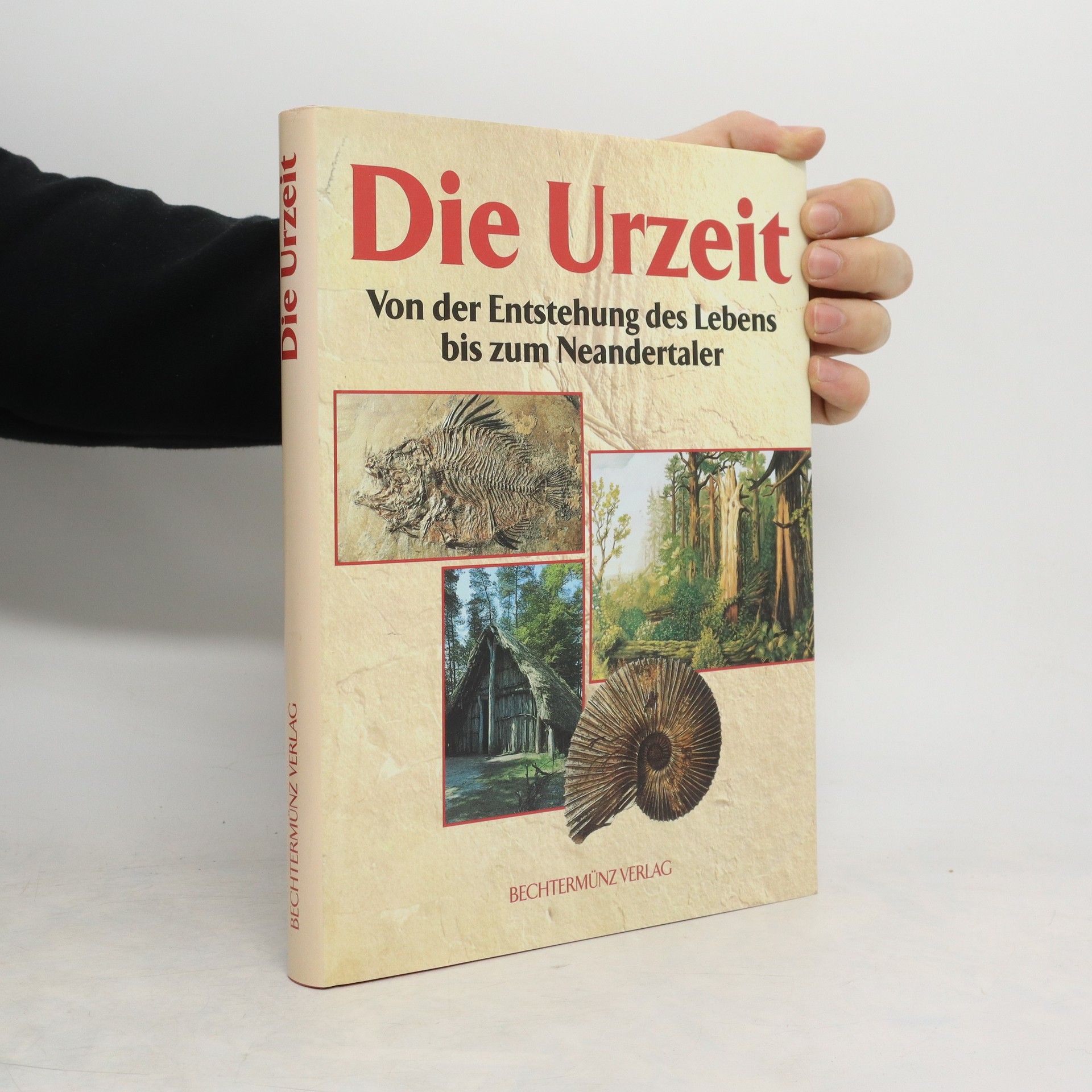 Collectif d'auteurs Die Urzeit