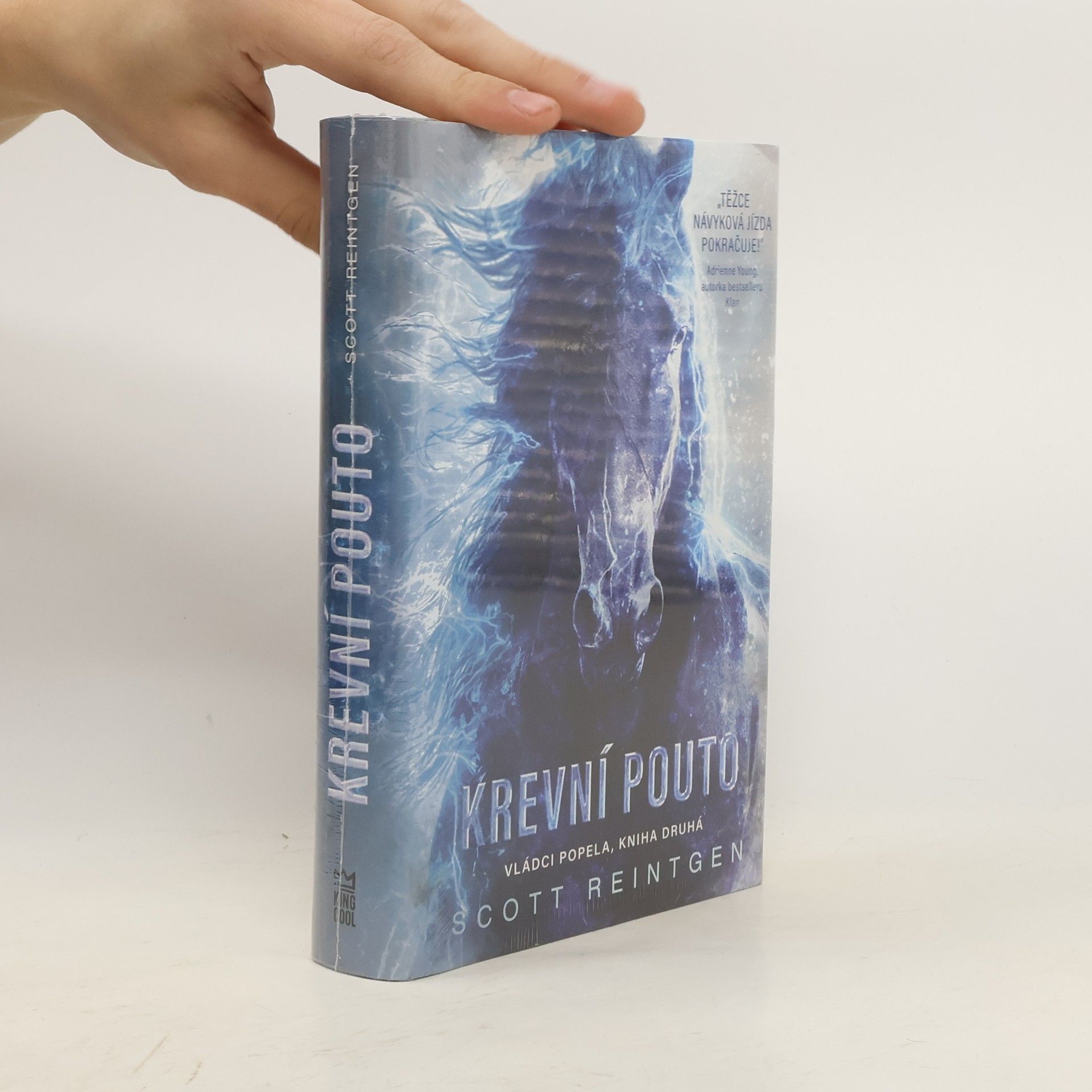 Scott Reintgen Vládci popela. Kniha druhá, Krevní pouto