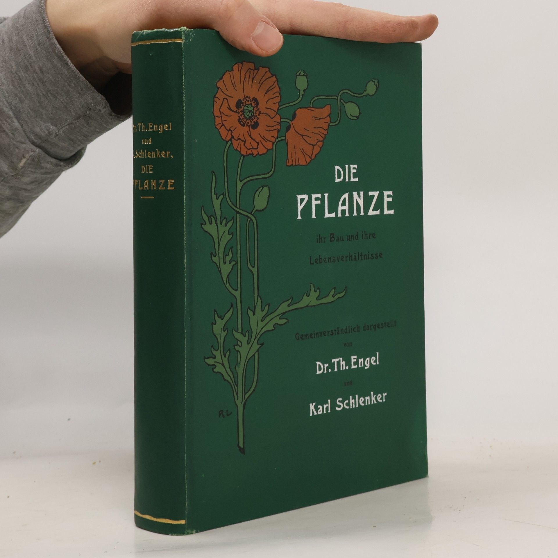 Th. W. Engelmann Die Pflanze