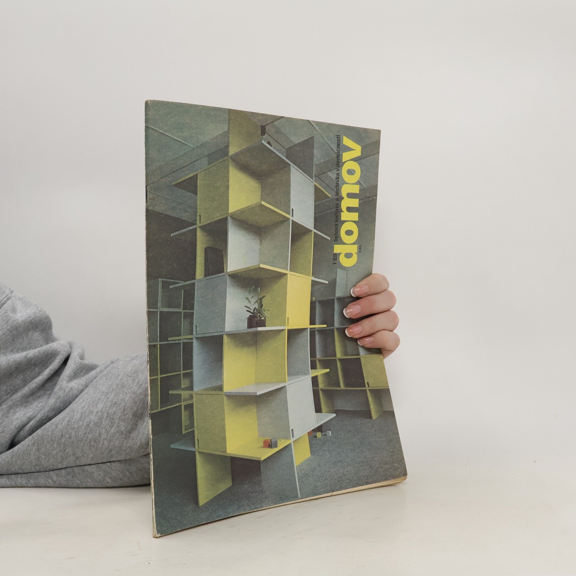 kolektiv Domov 1/1989