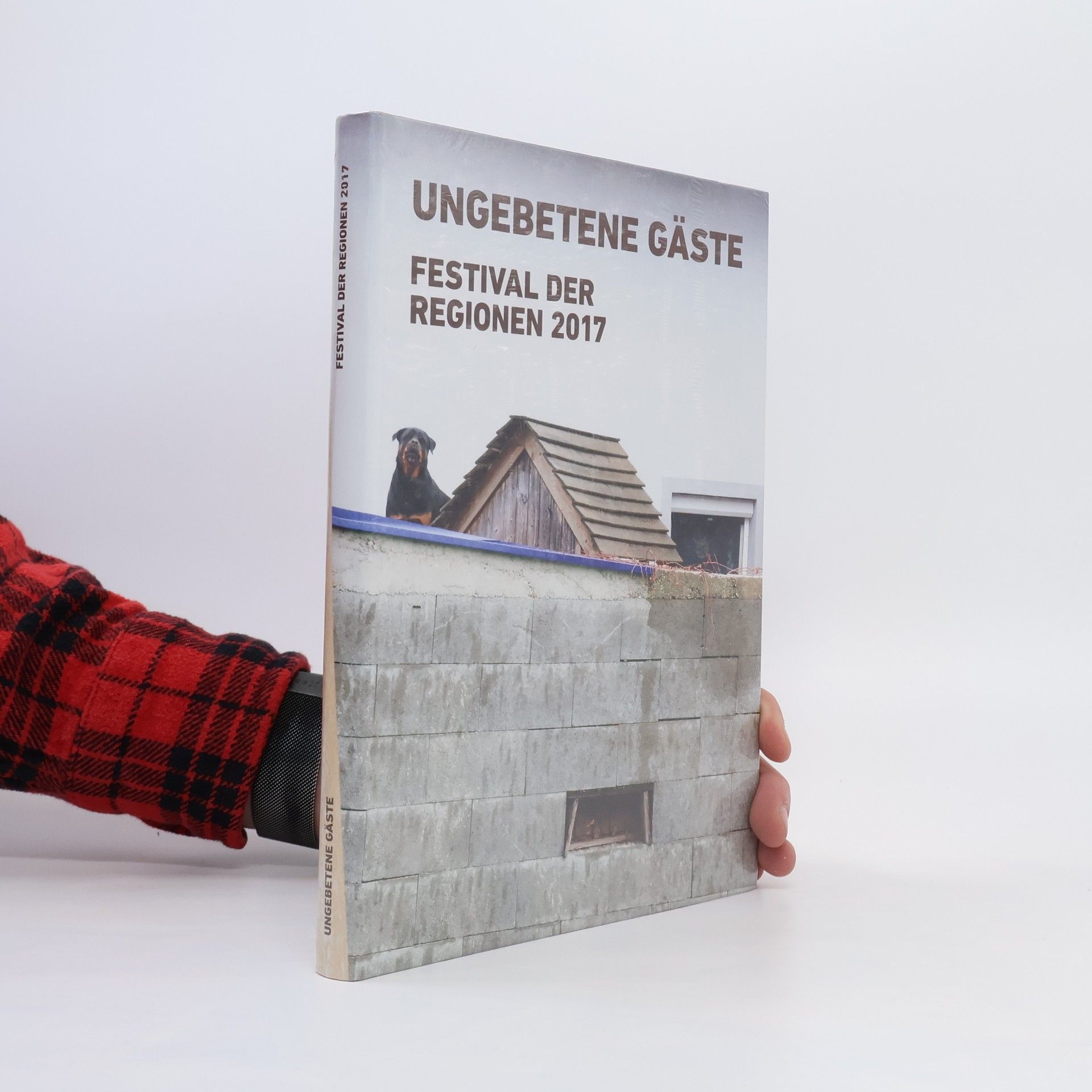kolektiv Ungebetene Gäste. Festival der Regionen 2017