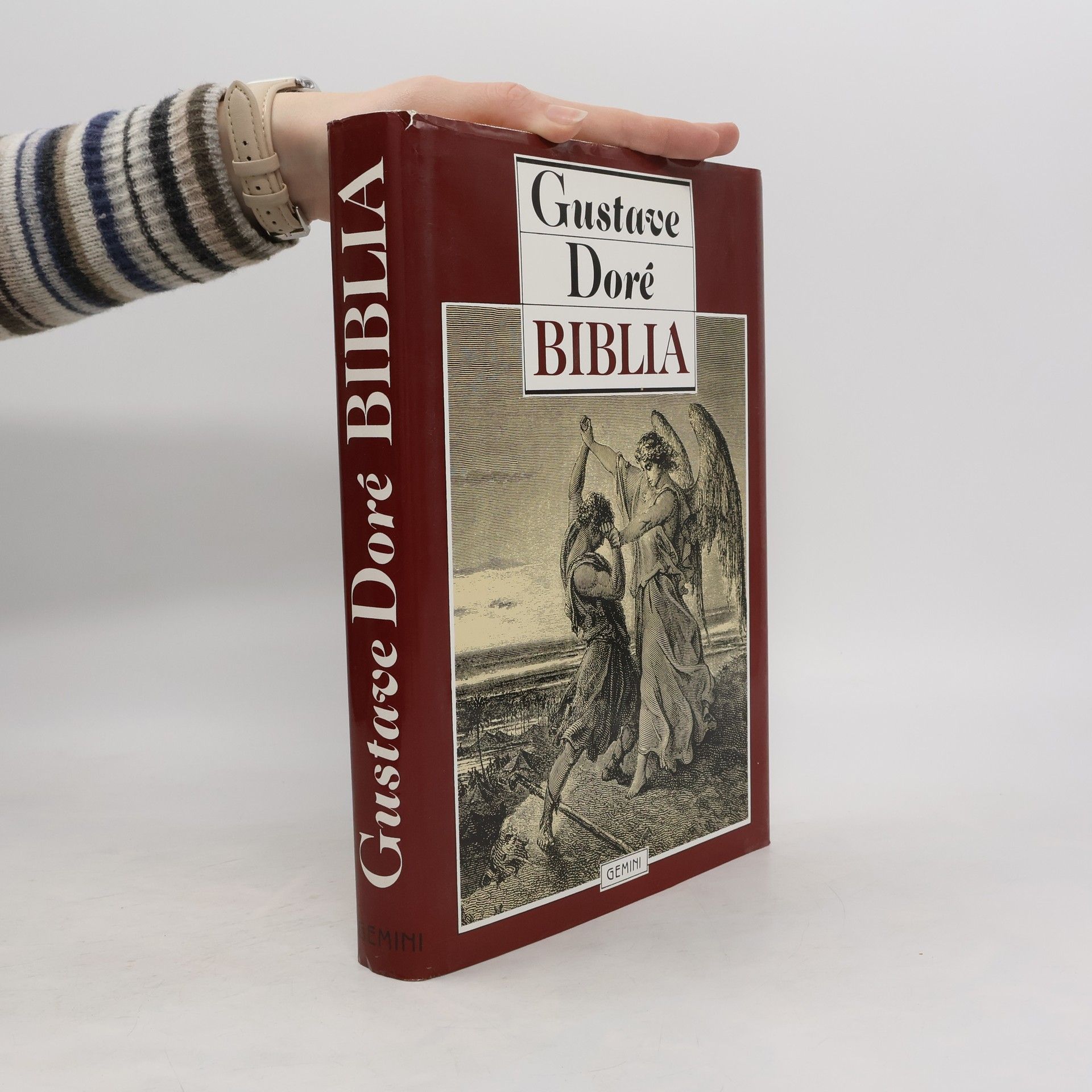 Jan Plesník Gustave Doré. Biblia