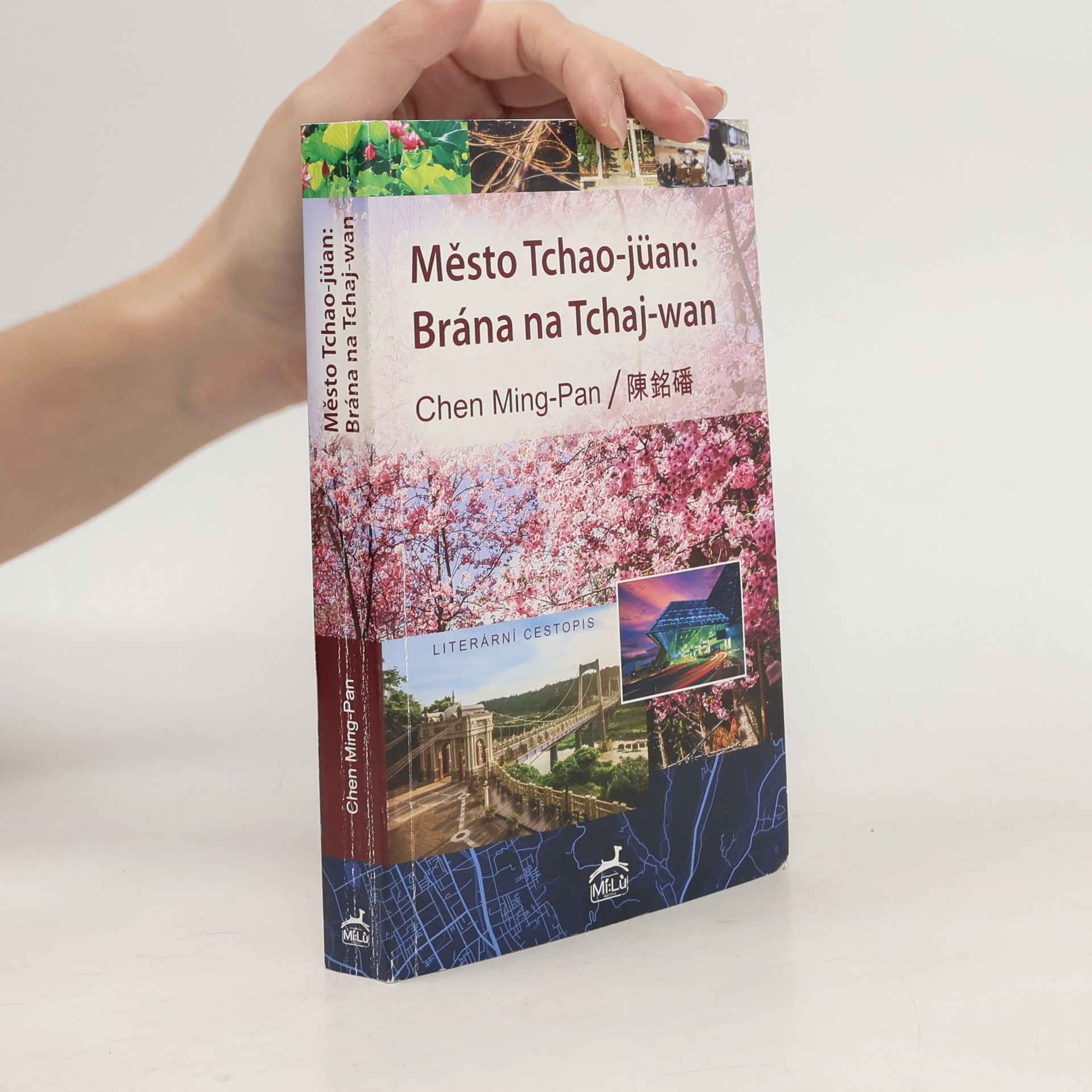 Ming-Pan Chen Město Tchao-jüan: Brána na Tchaj-wan