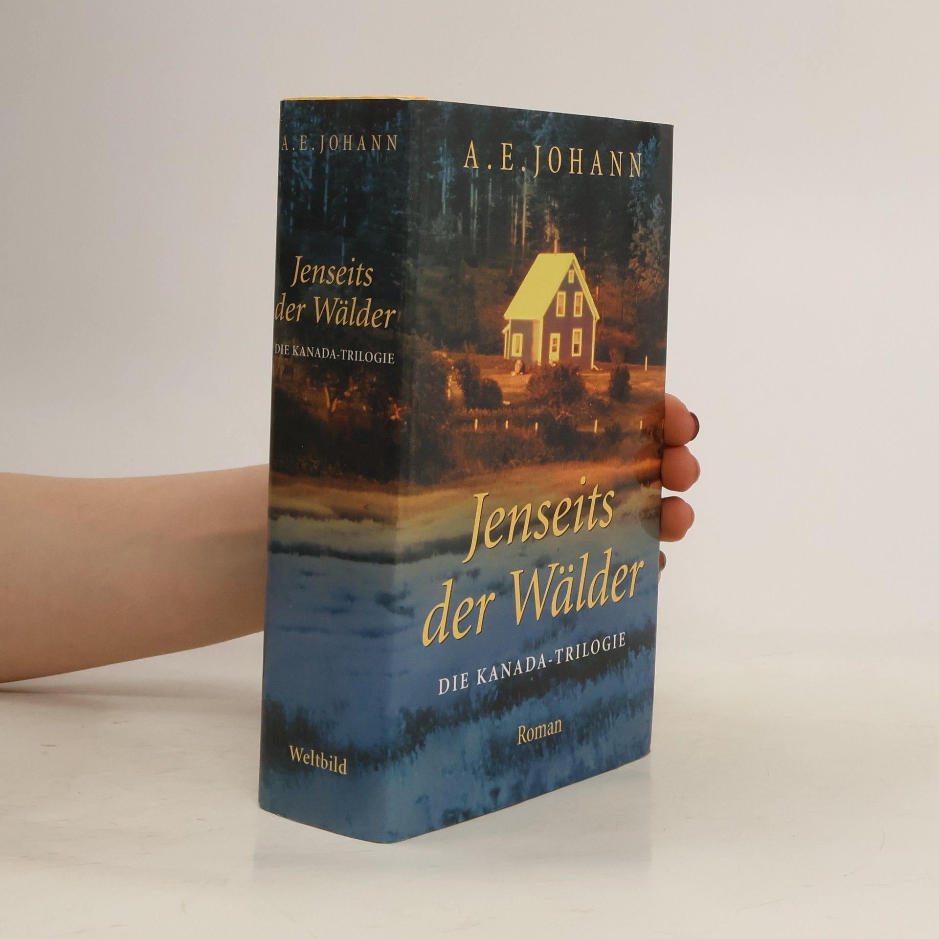 Alfred E. Johann Jenseits der Wälder