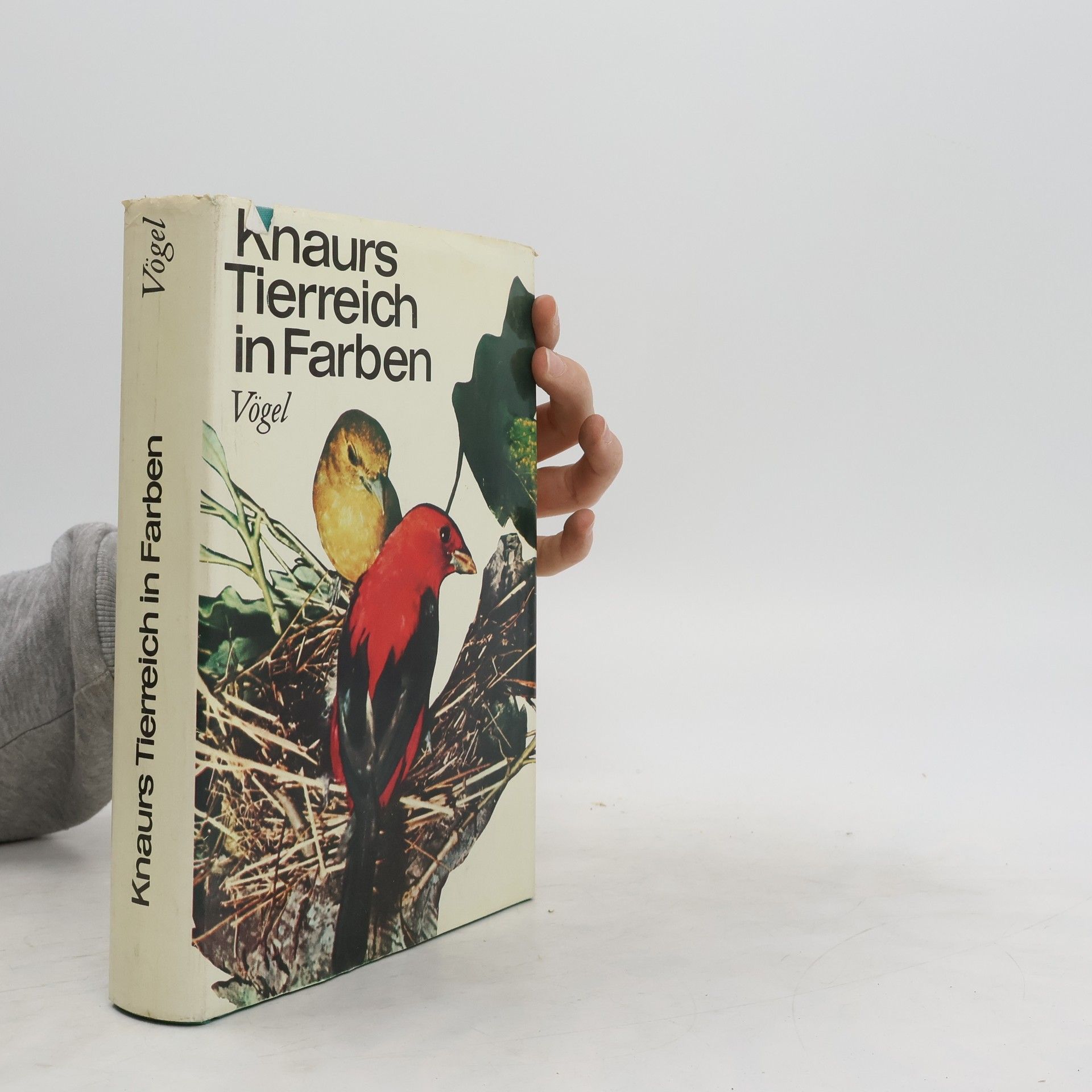 AA.VV. Knaurs Tierreich in Farben Vögel