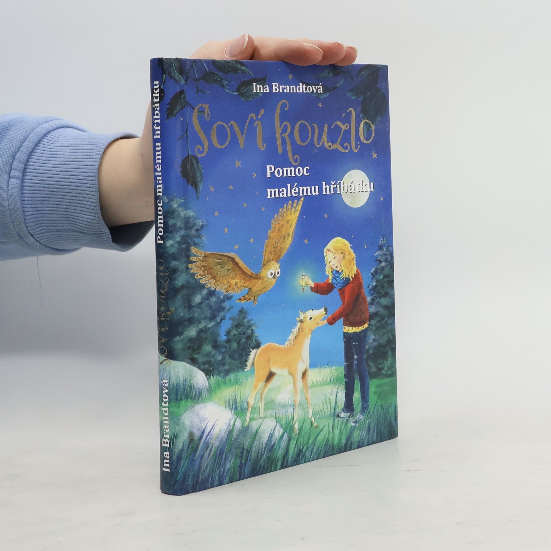 Ina Brandt Soví kouzlo. Pomoc malému hříbátku