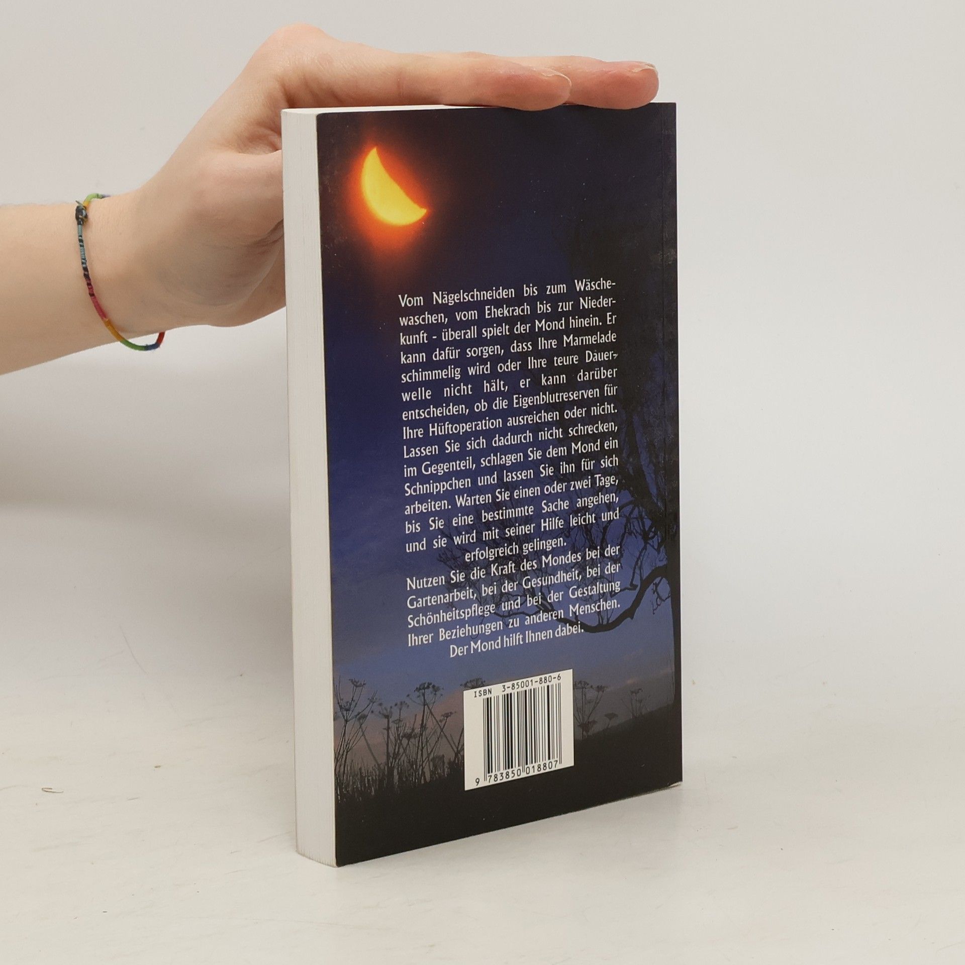 Adriene von Taxis Mit dem Mond durch das Jahr 1999