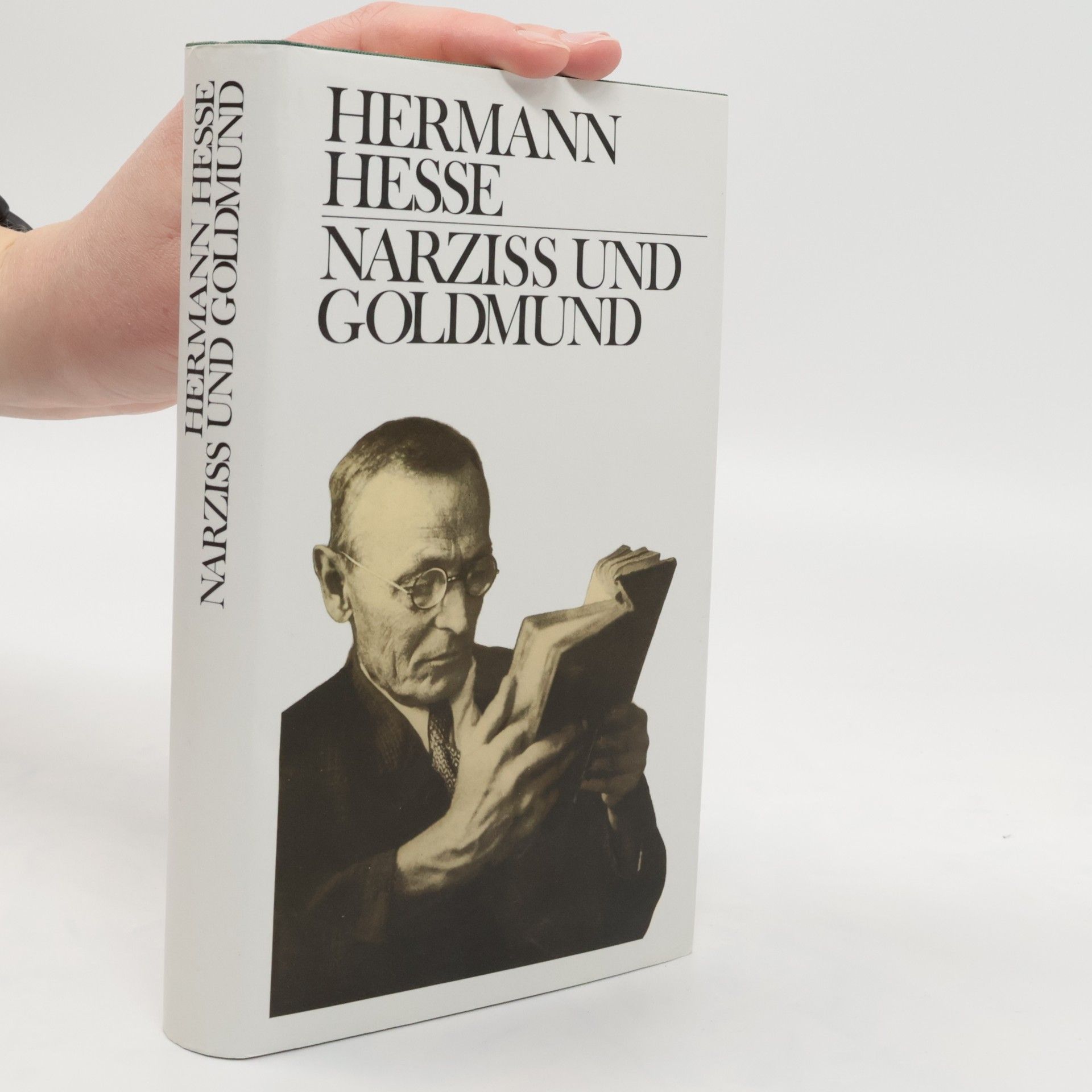 Hermann Hesse Narziss und Goldmund