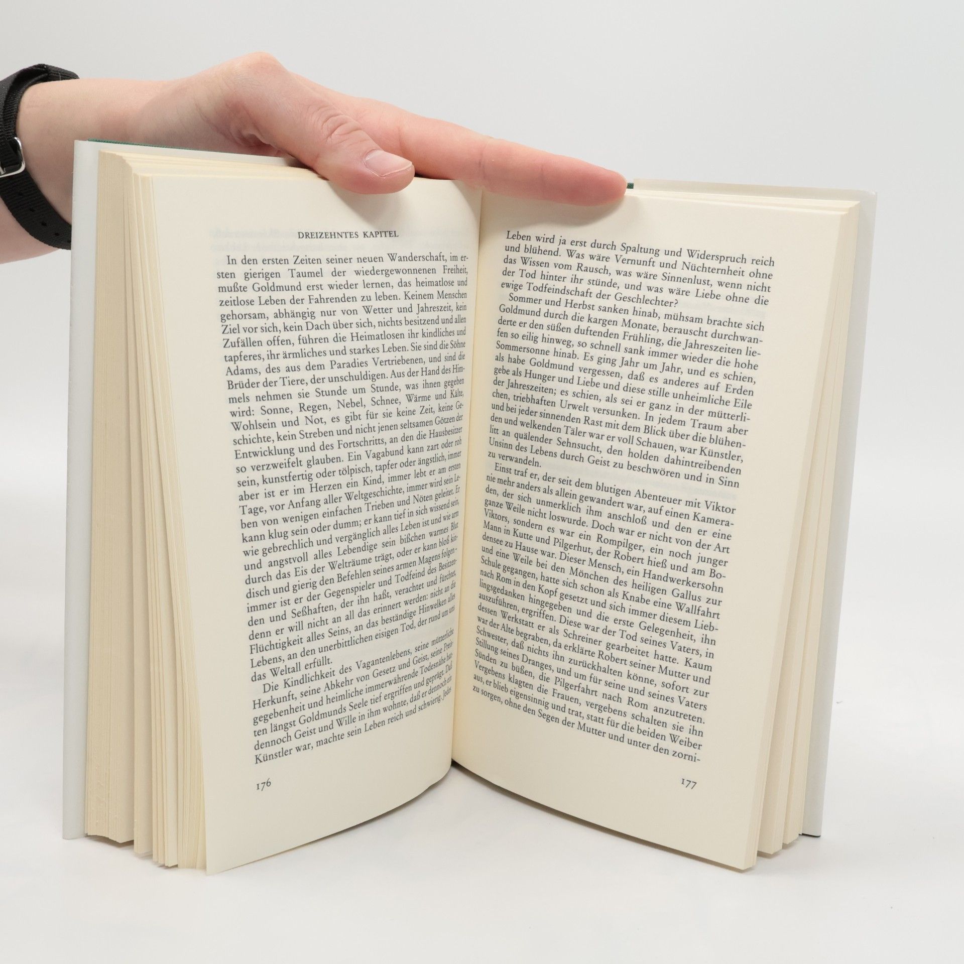 Hermann Hesse Narziss und Goldmund