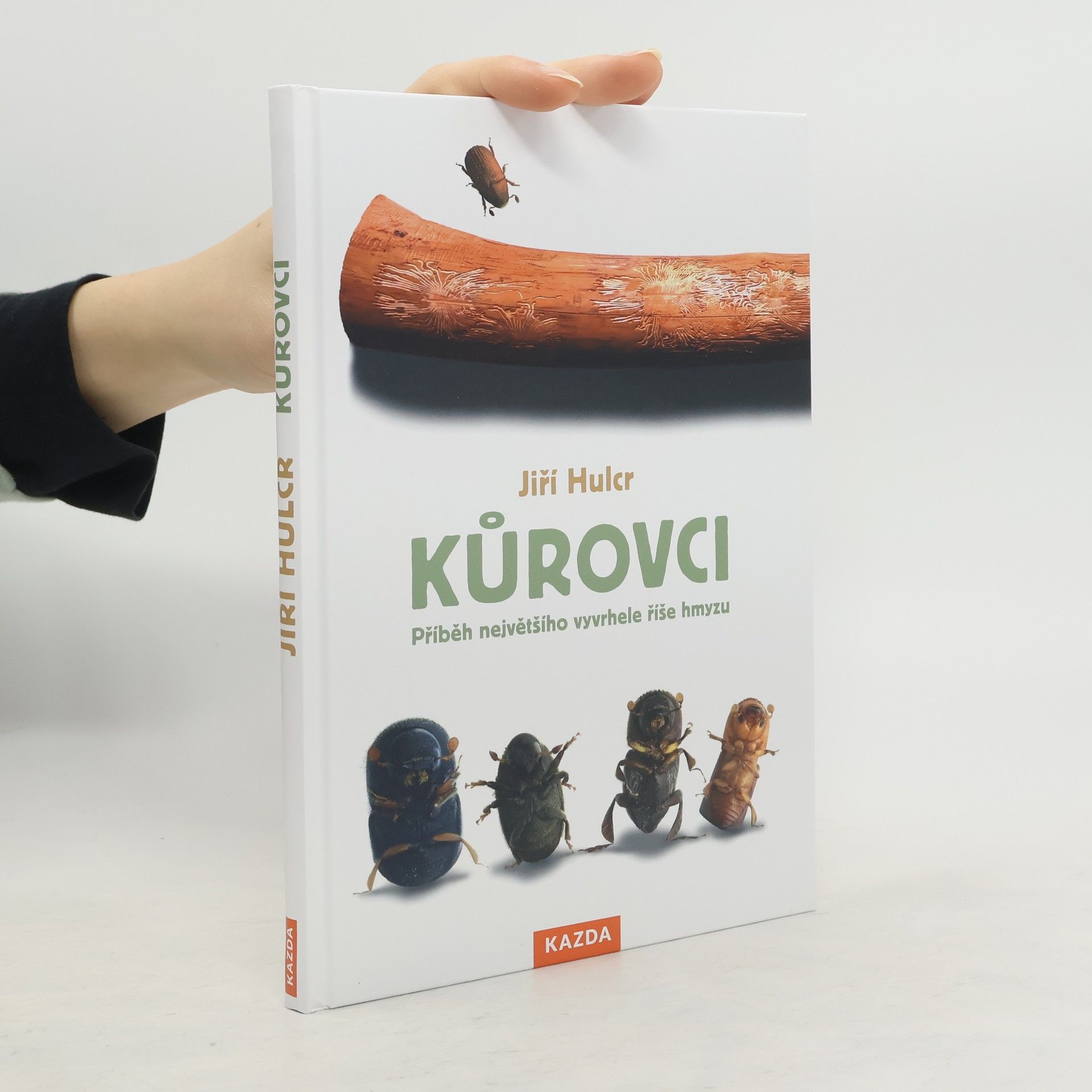 Jiří Hulcr Kůrovci