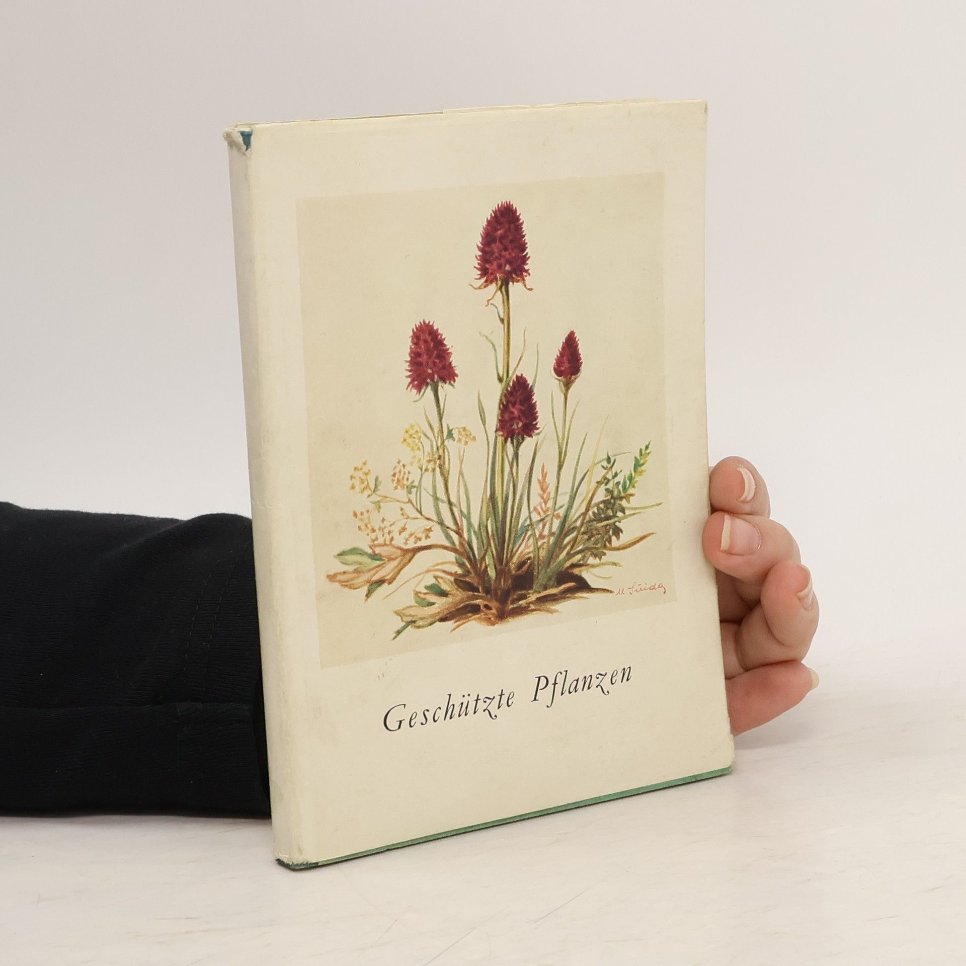 Auteurscollectief Geschützte Pflanzen