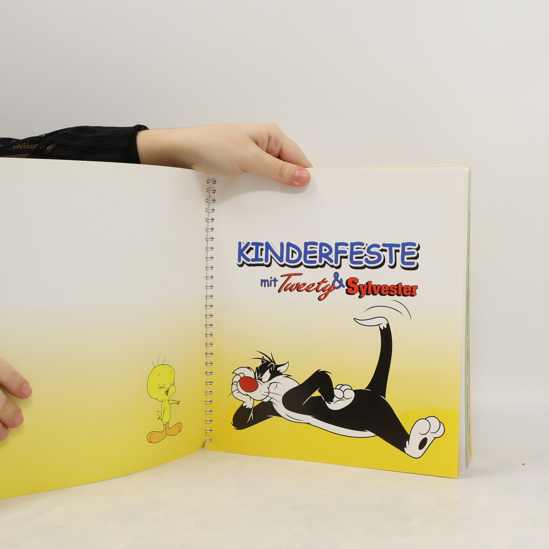 Autorenkollektiv Kinderfeste mit Tweety und Sylvester