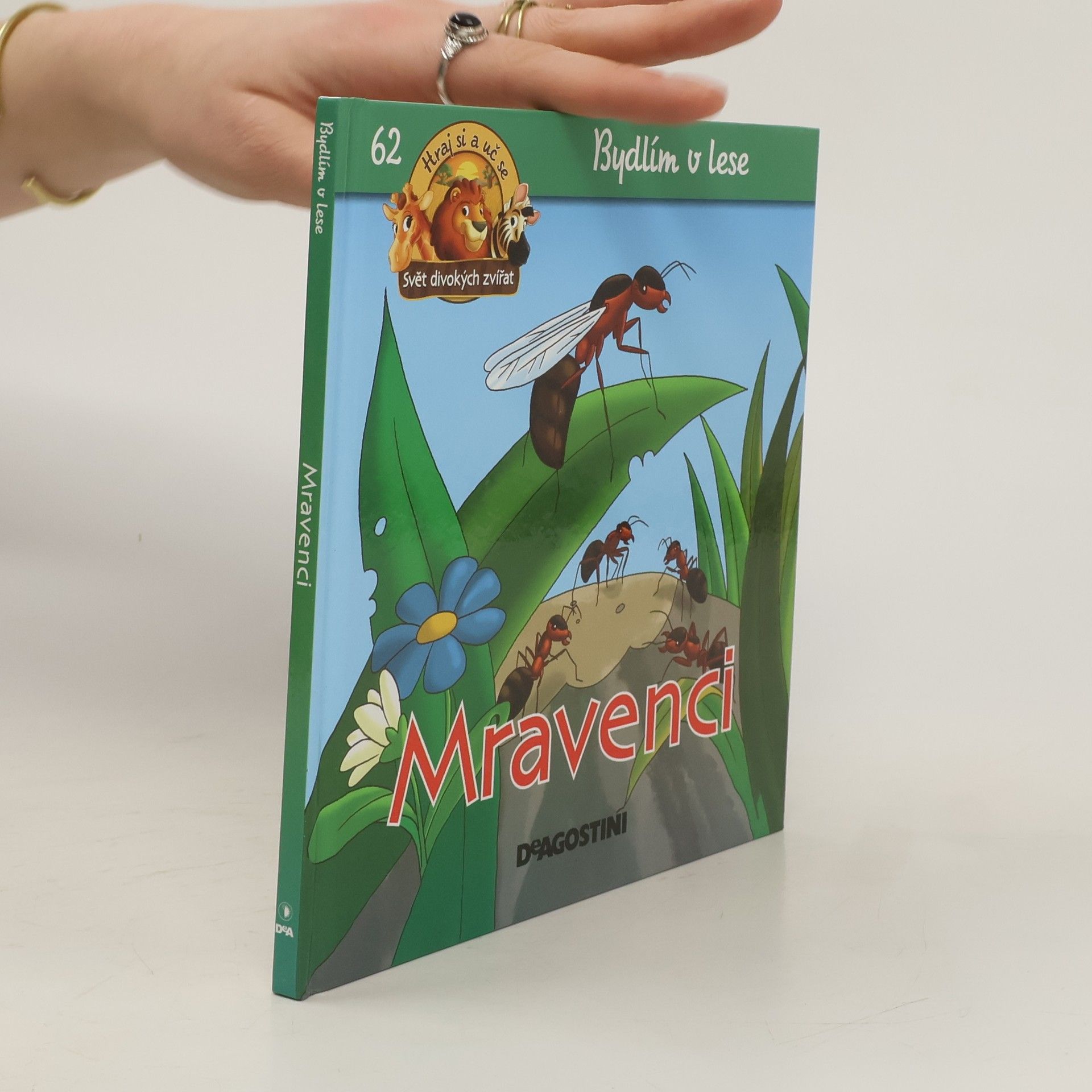 kolektiv Bydlím v lese 62. Mravenci