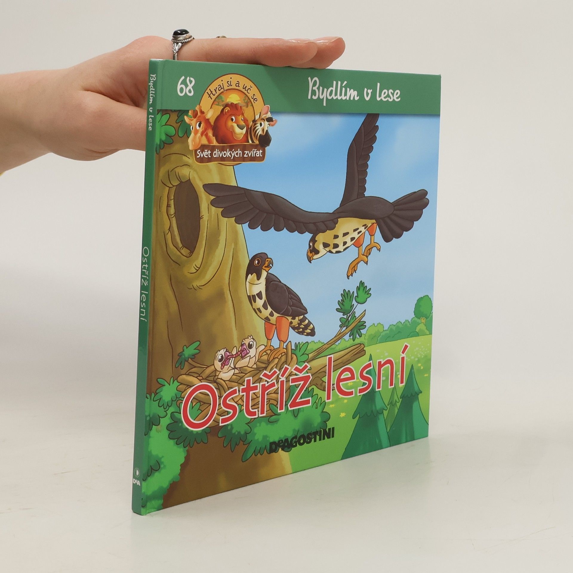 Kolektiv autorů Bydlím v lese: Ostříž lesní