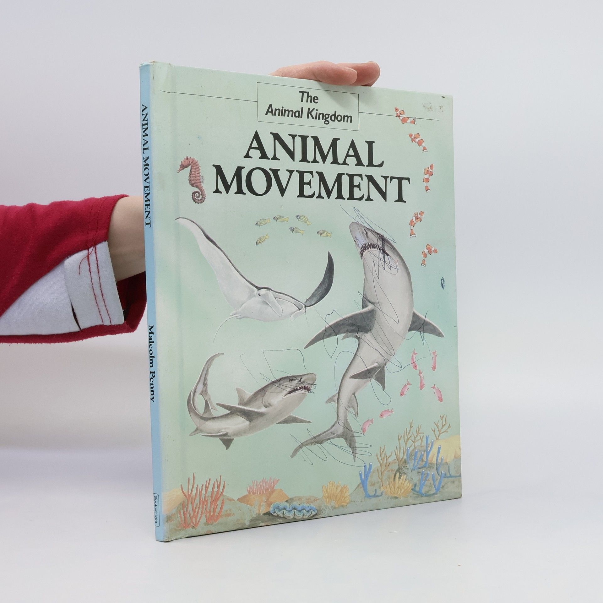 AA.VV. Animal Movement