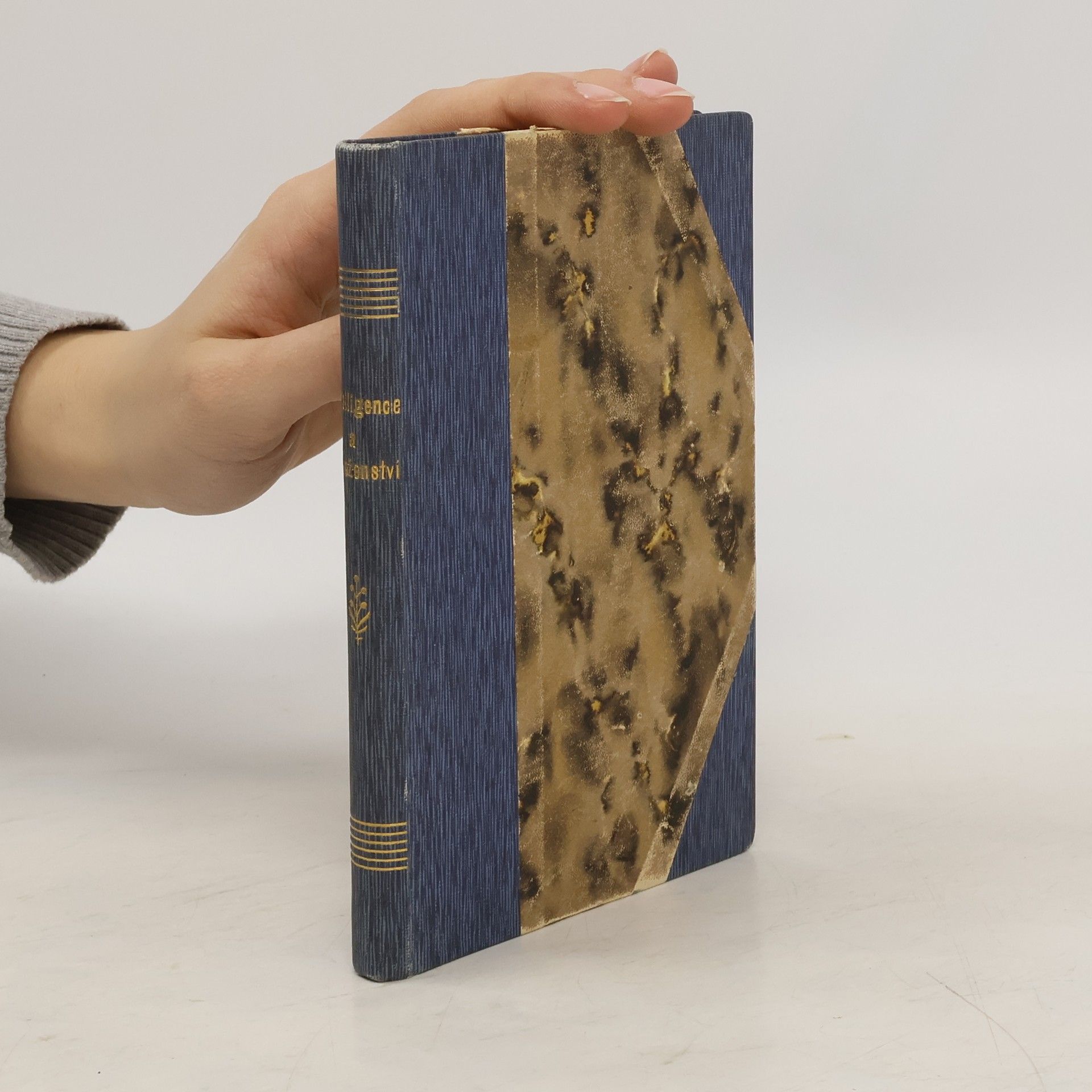 Various authors Intelligence a náboženství