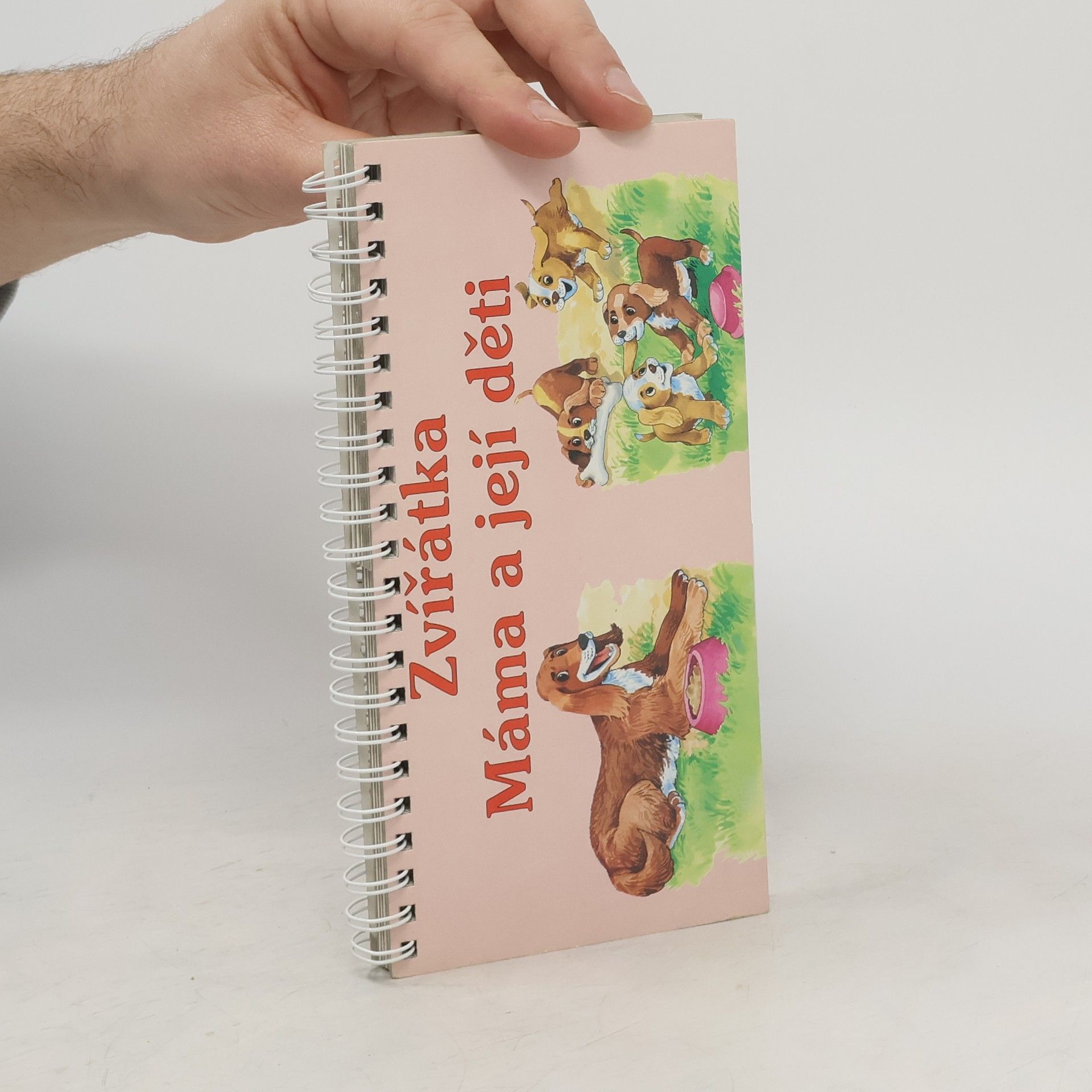 Kolektiv autorů Zvířátka. Máma a její děti