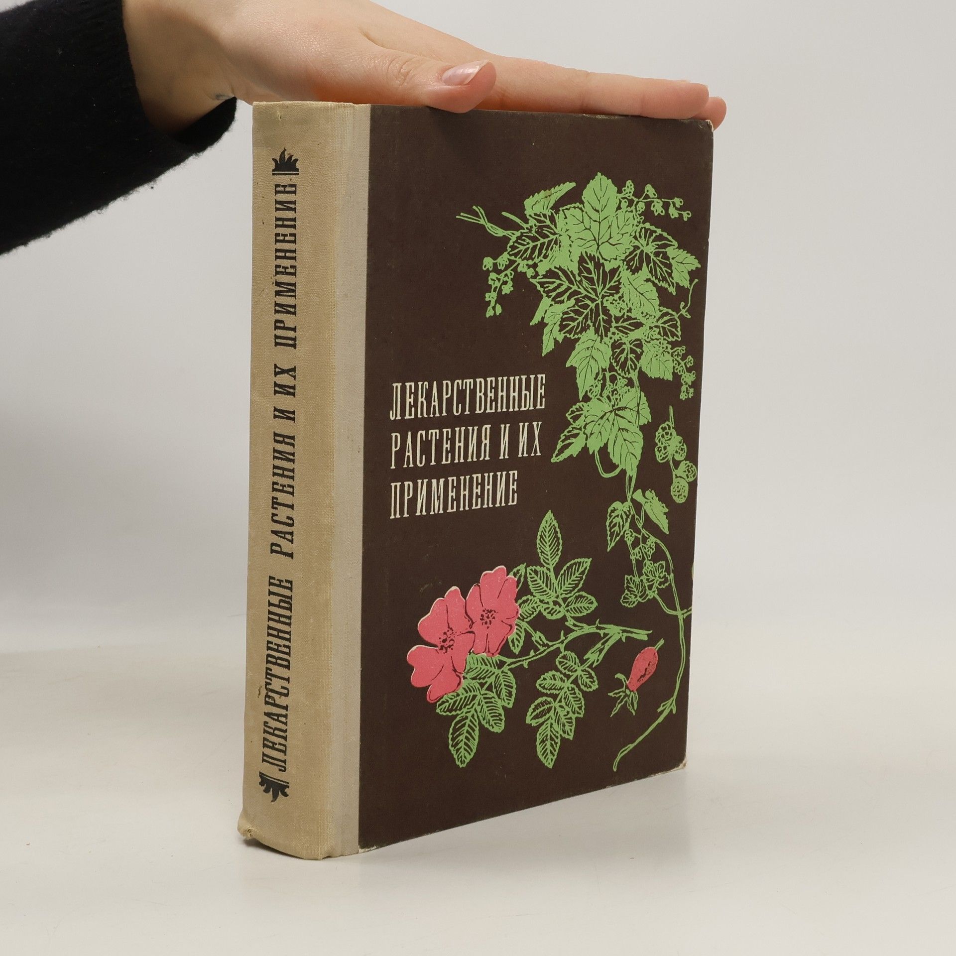 Autorenkollektiv Лекарственные растения и их применение