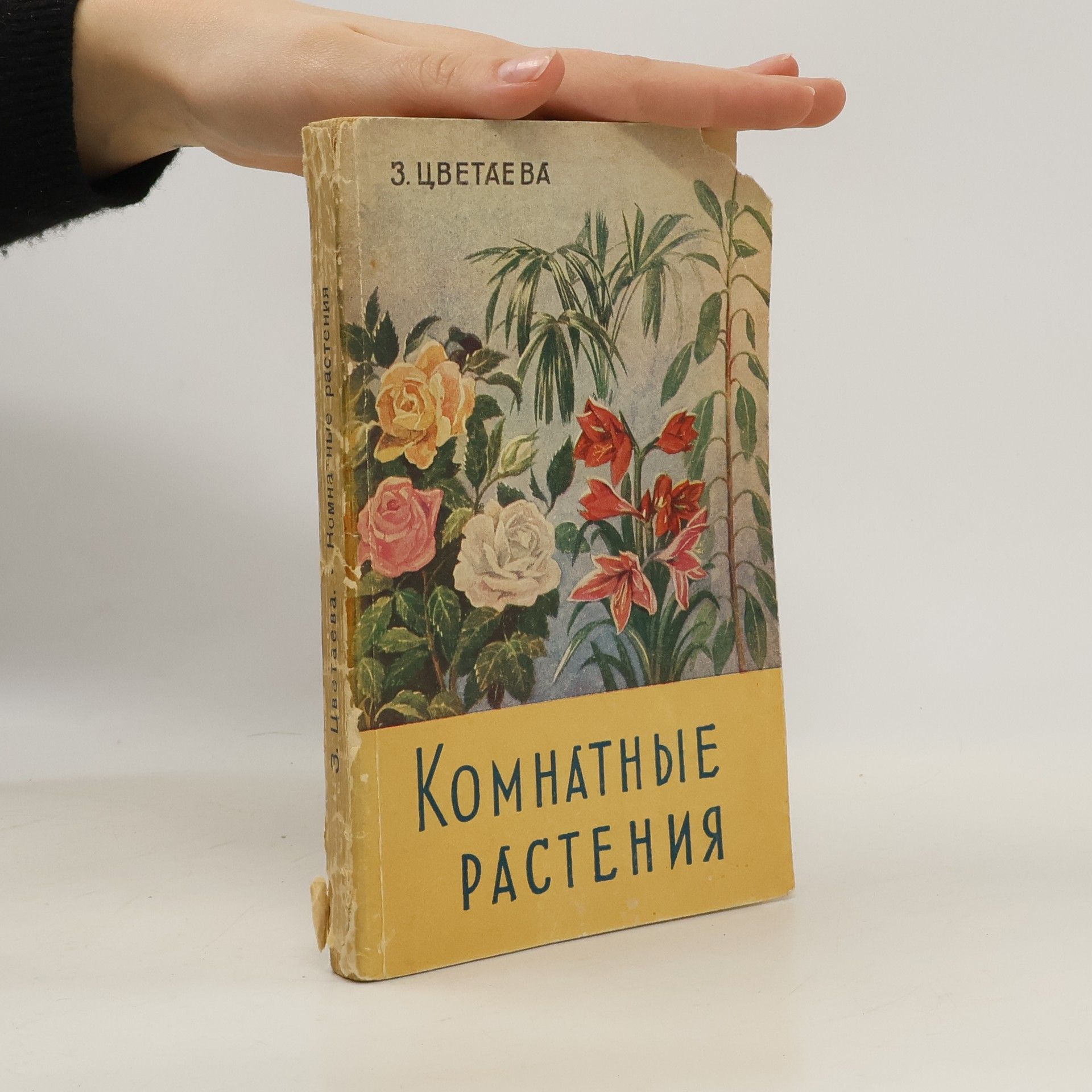 Marina Ivanovna Cvetajevová Kомнатные растения