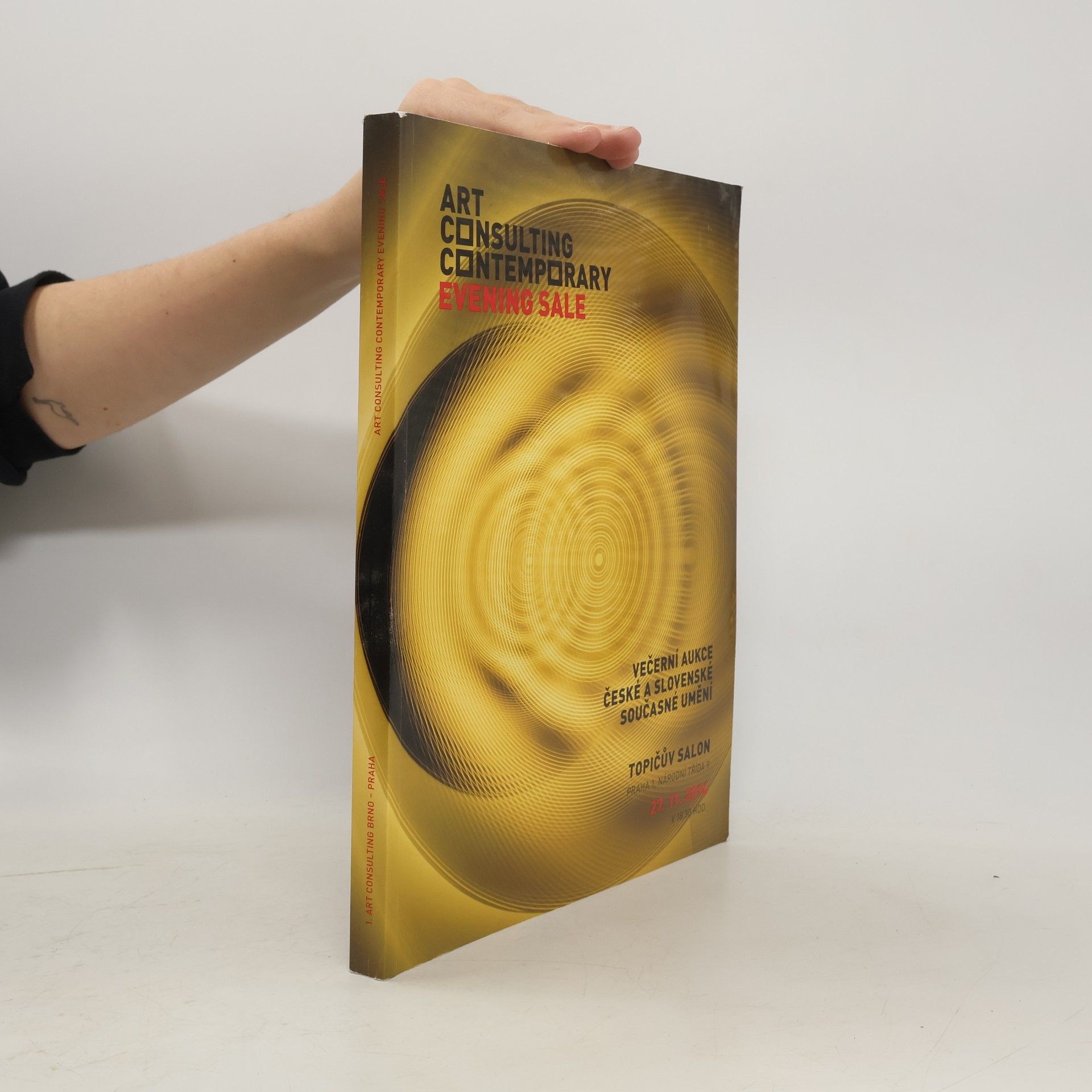 Kolektív autorov Večerní aukce - České a slovenské současné umění. Topičův salon 27.11.2014